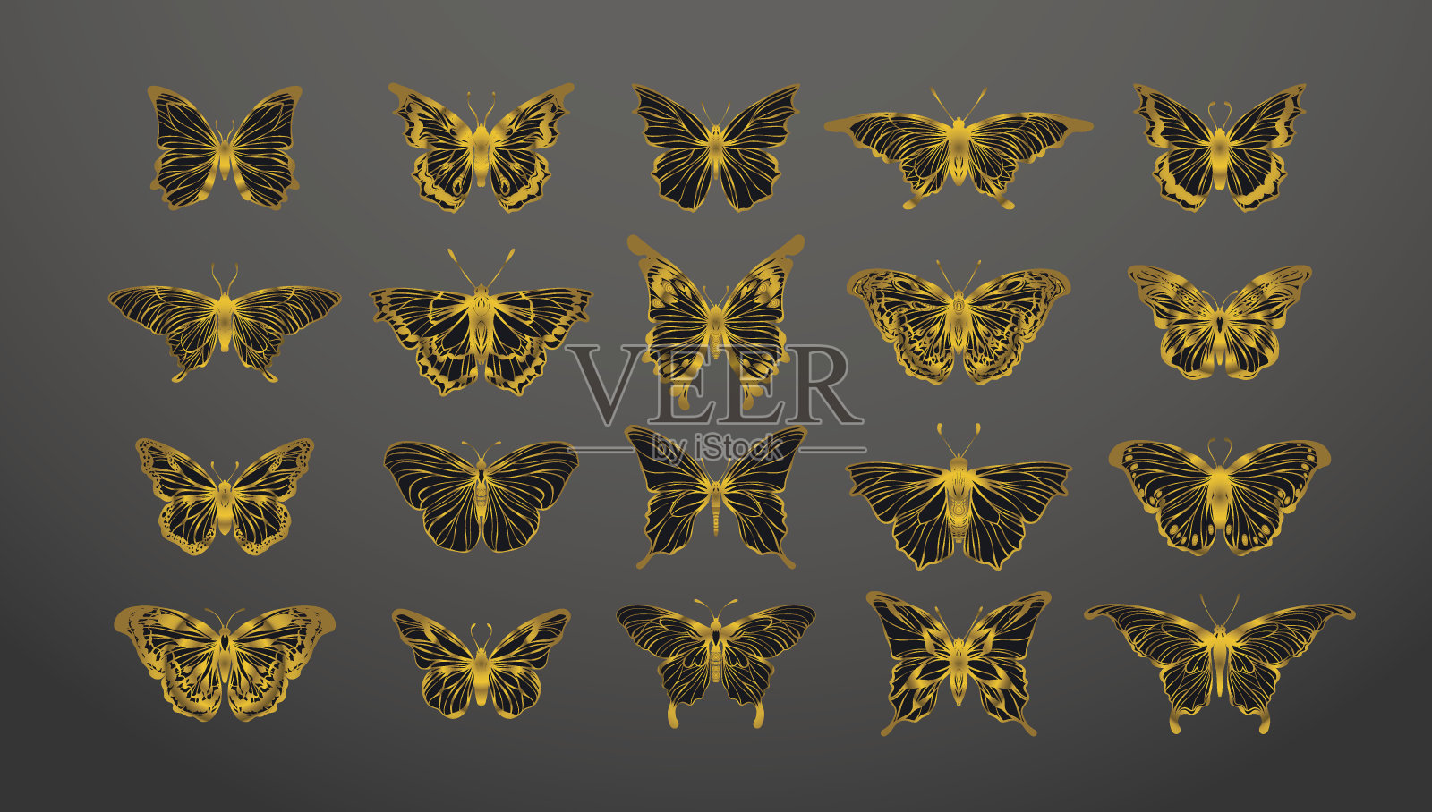 一组金色的蝴蝶。插画图片素材