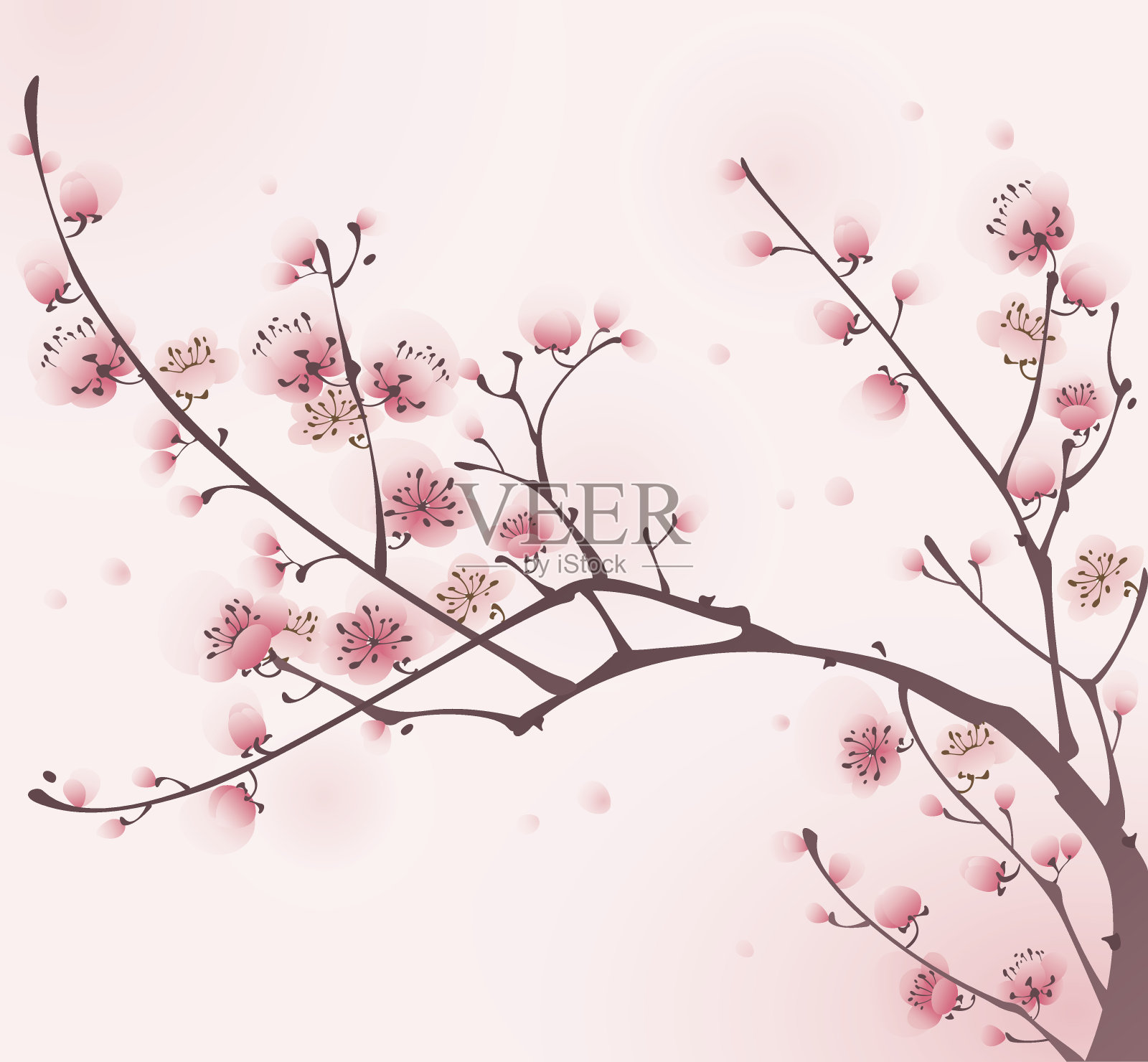 东方画风，春天樱花盛开背景图片素材