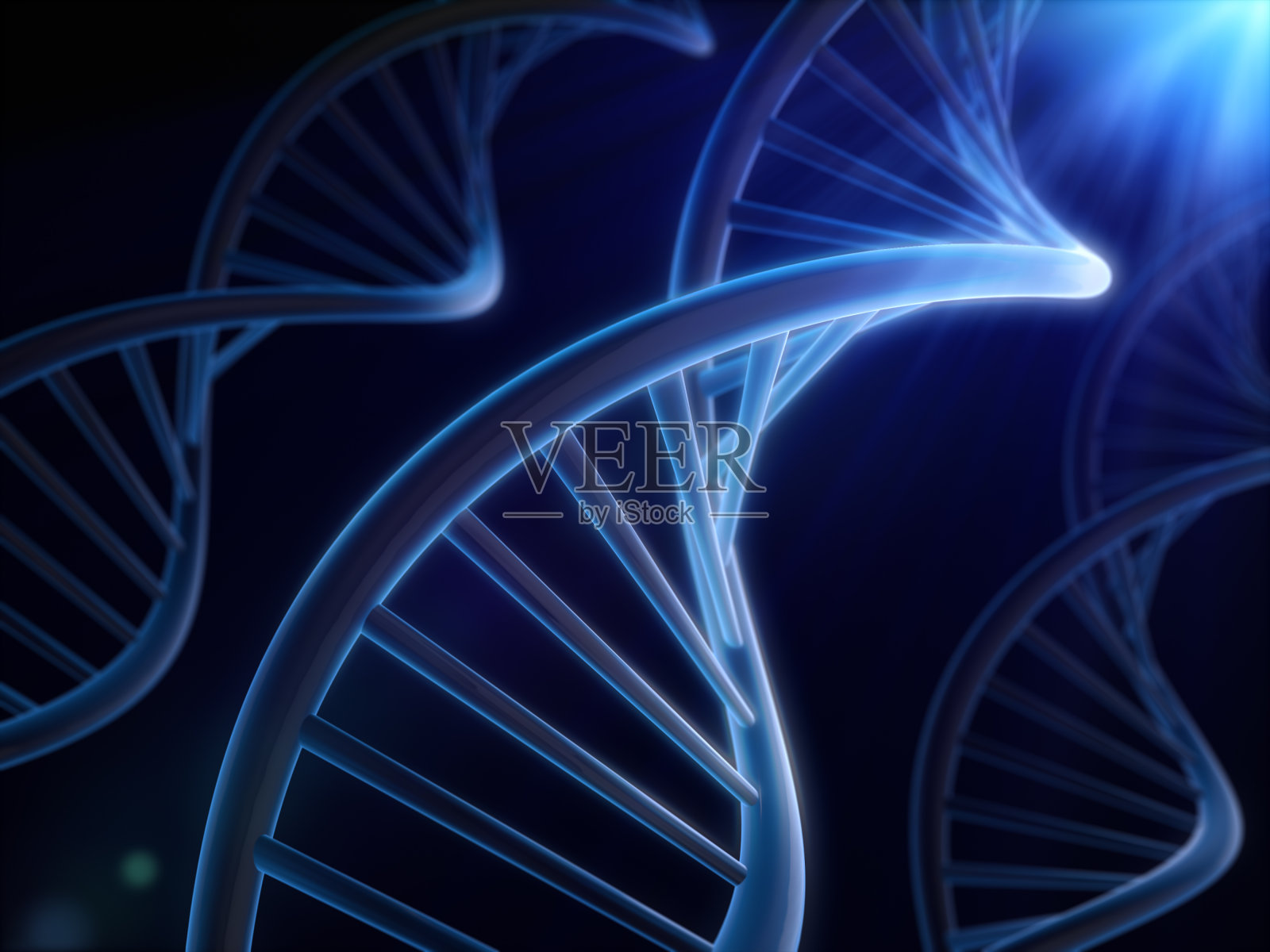DNA分子概念图像。3 d渲染。照片摄影图片