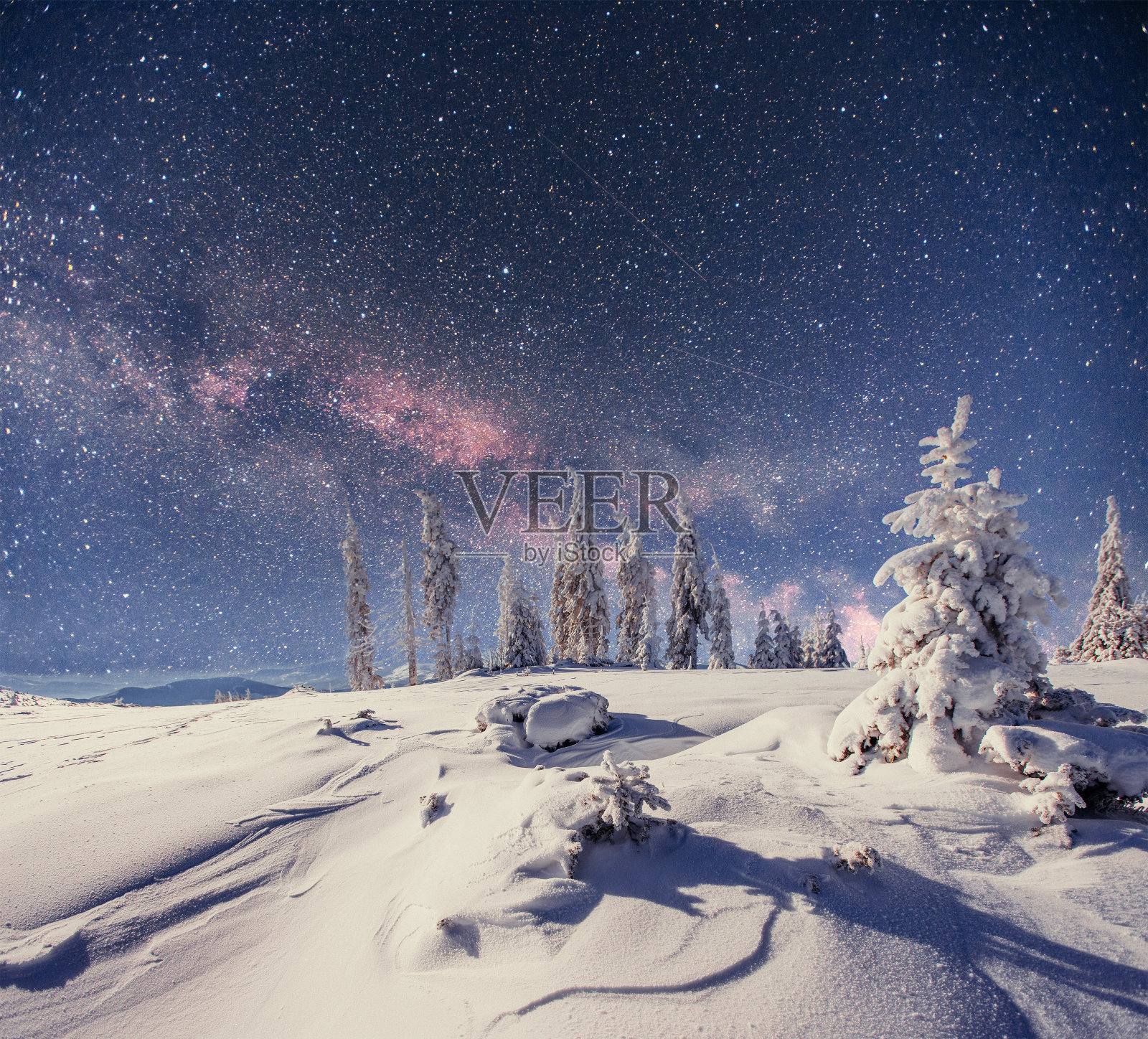 《星际迷航》里冬天的树林照片摄影图片