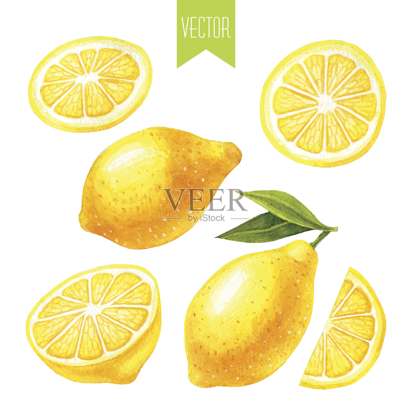 柠檬水彩画插画图片素材