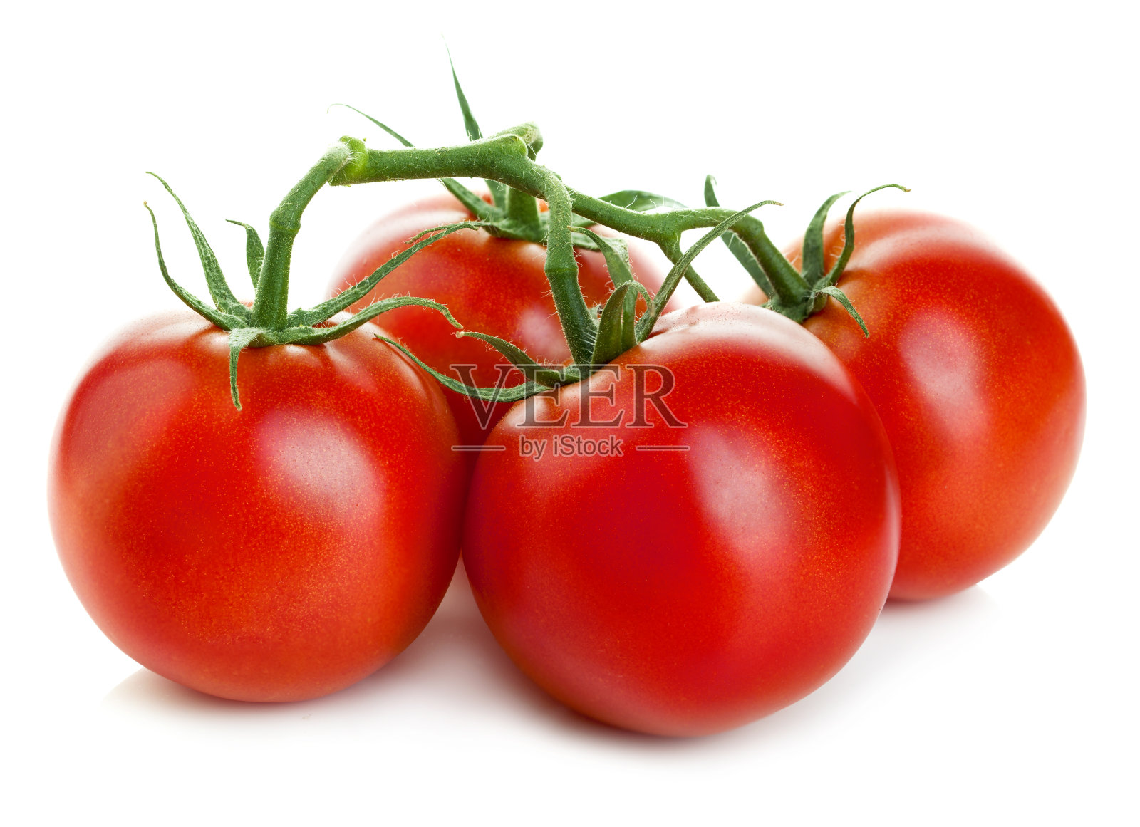 一串鲜红的番茄孤立在白色背景上。照片摄影图片