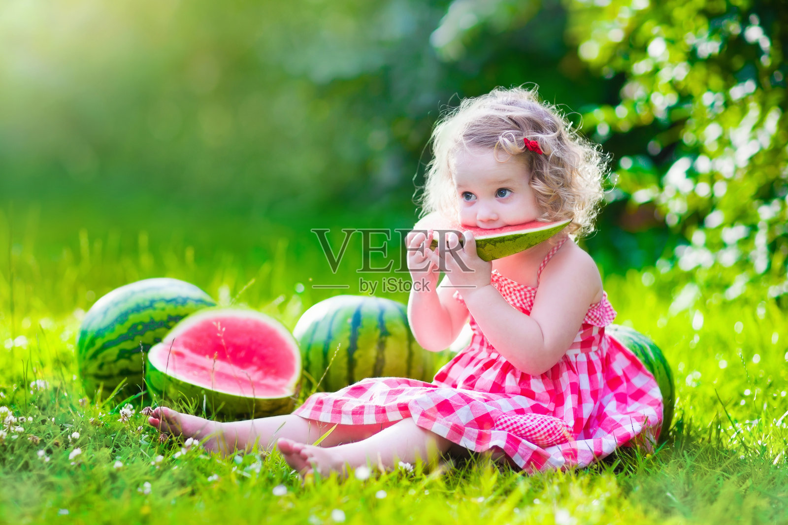 小女孩吃西瓜照片摄影图片