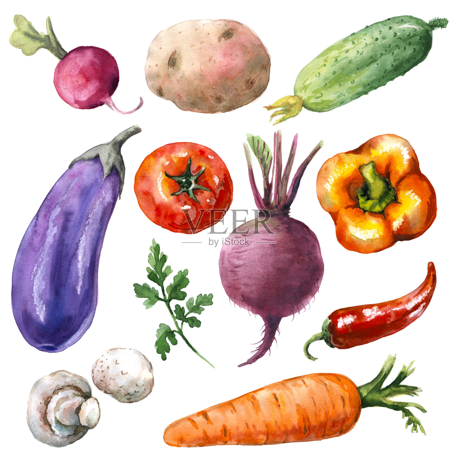 各种蔬菜设置插画图片素材