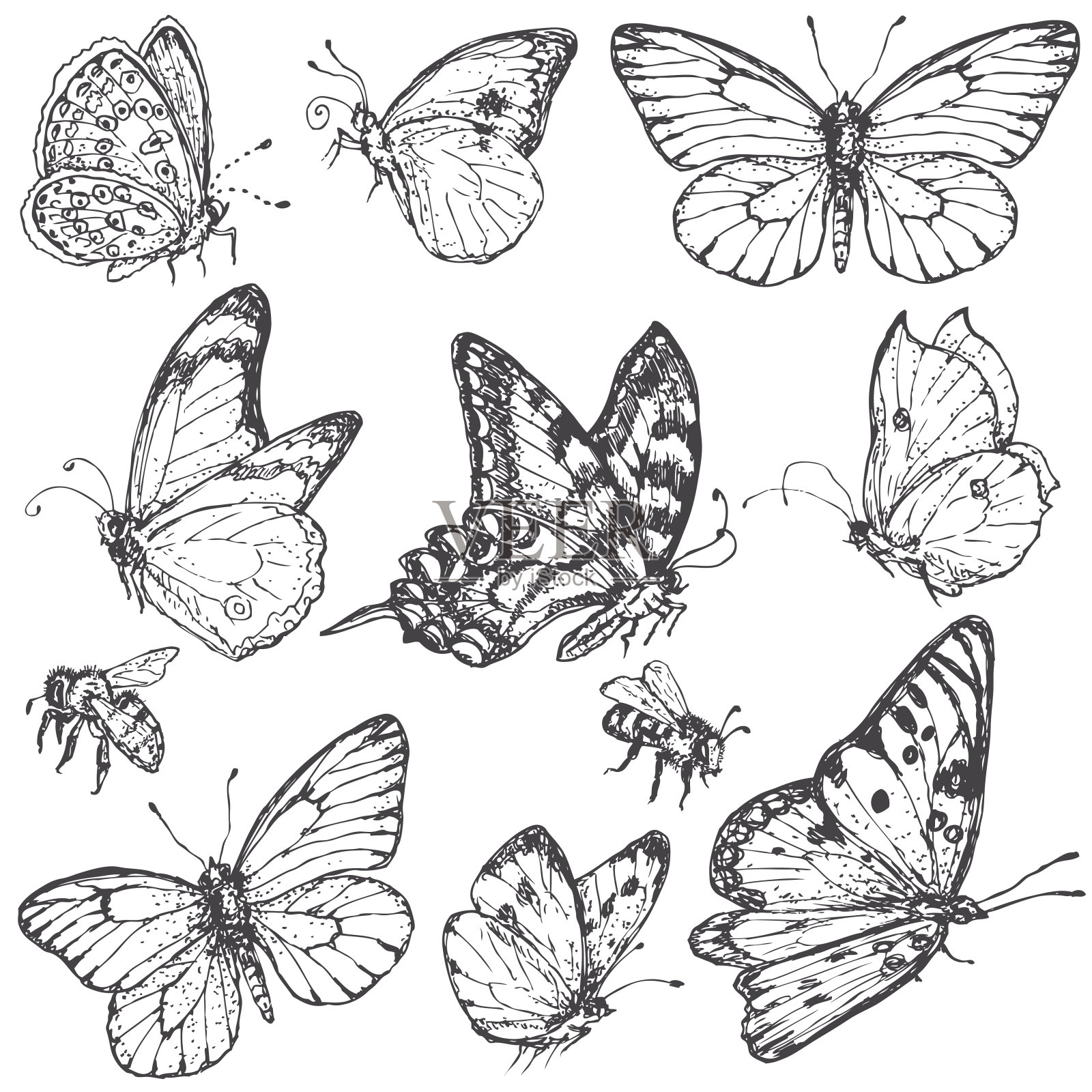 手绘一套蝴蝶和蜜蜂。插画图片素材