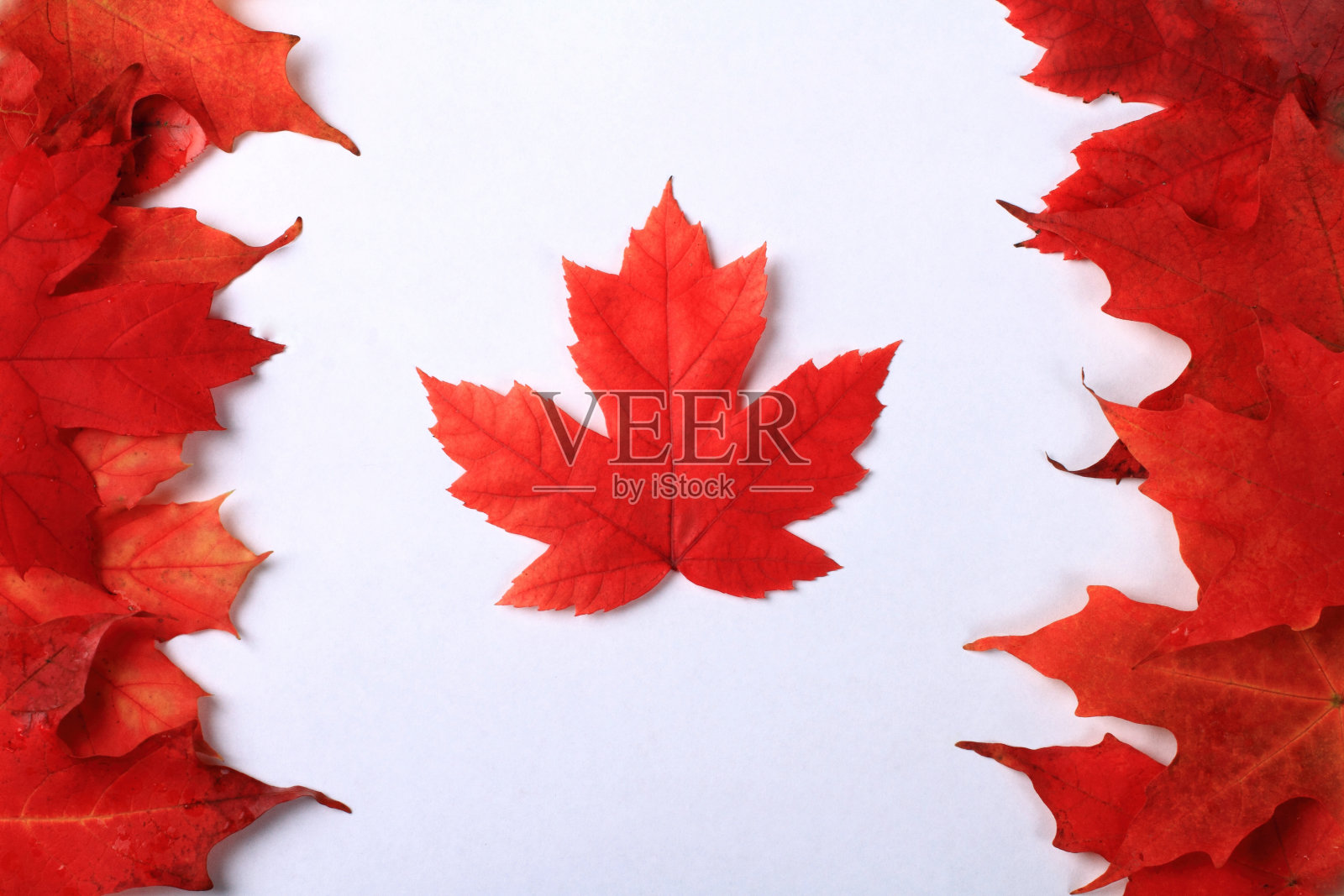 加拿大枫叶旗照片摄影图片