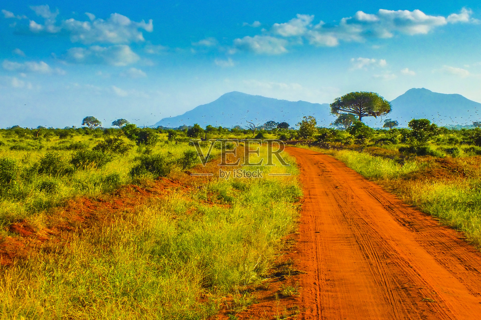 红色道路-肯尼亚的狩猎之旅照片摄影图片
