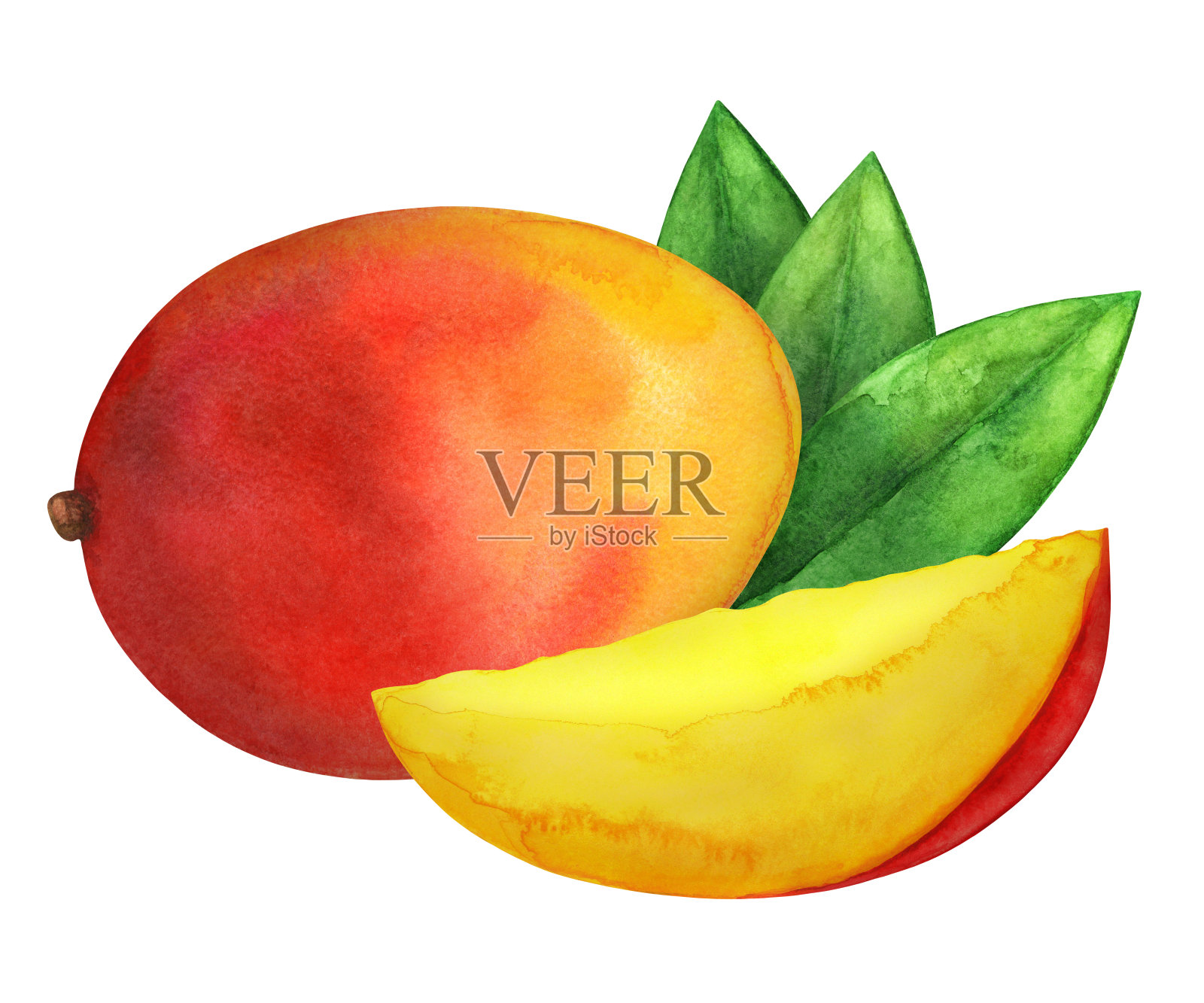 芒果水果与树叶水彩画插图插画图片素材
