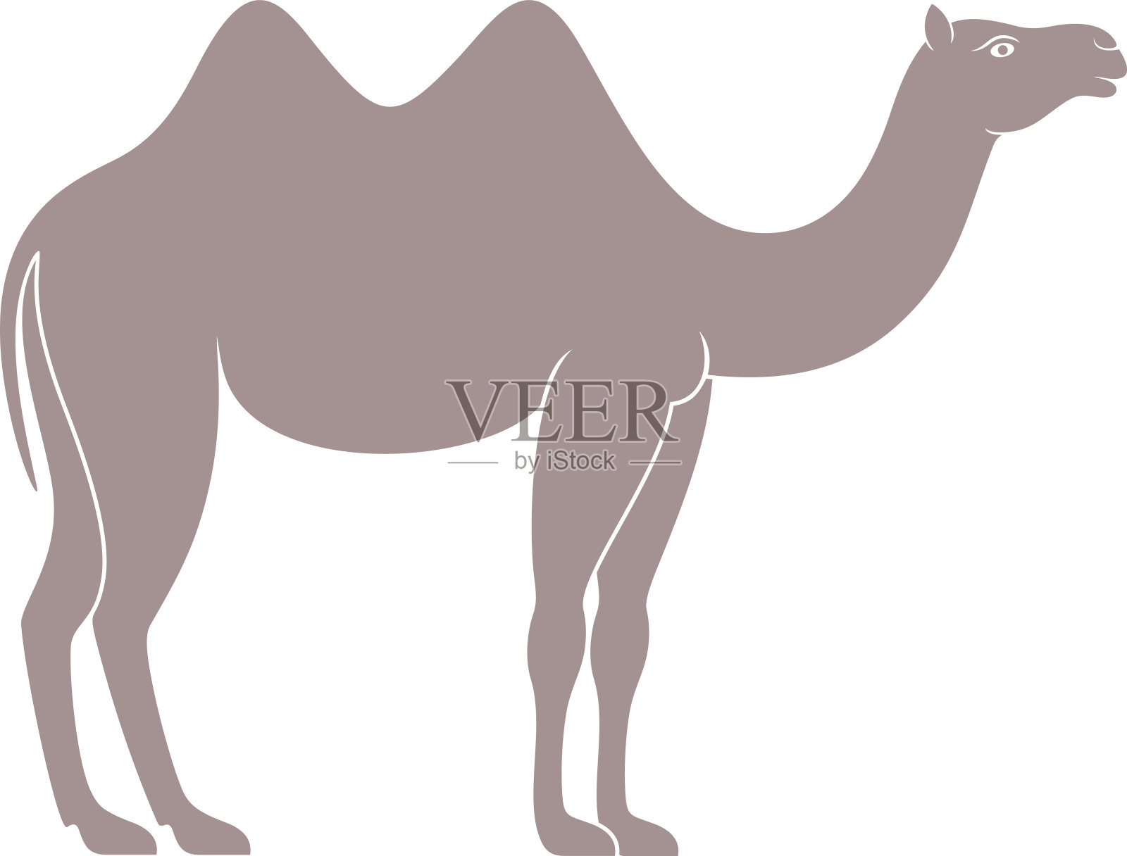 骆驼设计元素图片