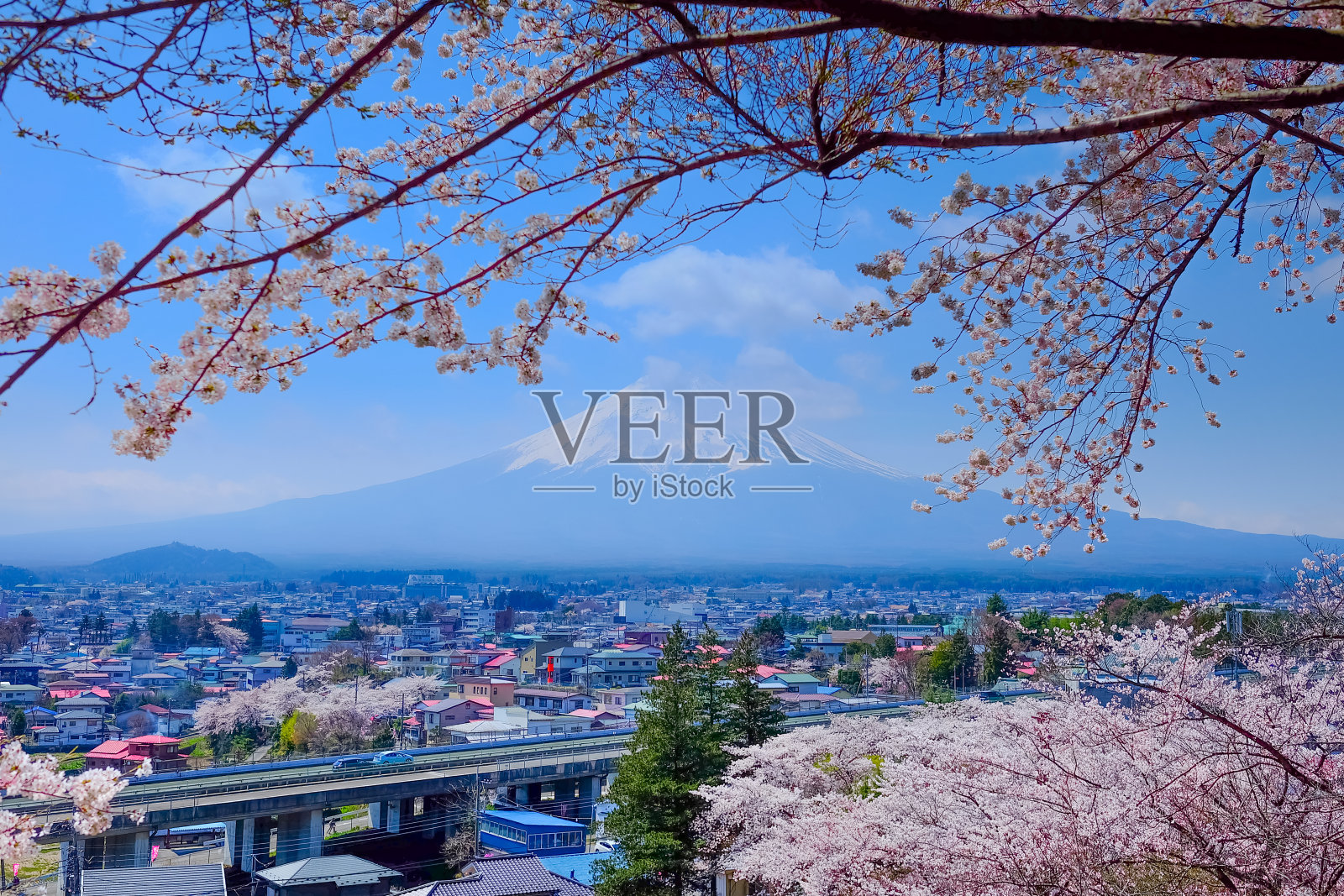 富士山春天的樱花(Sakura)，藤吉田，Ja照片摄影图片