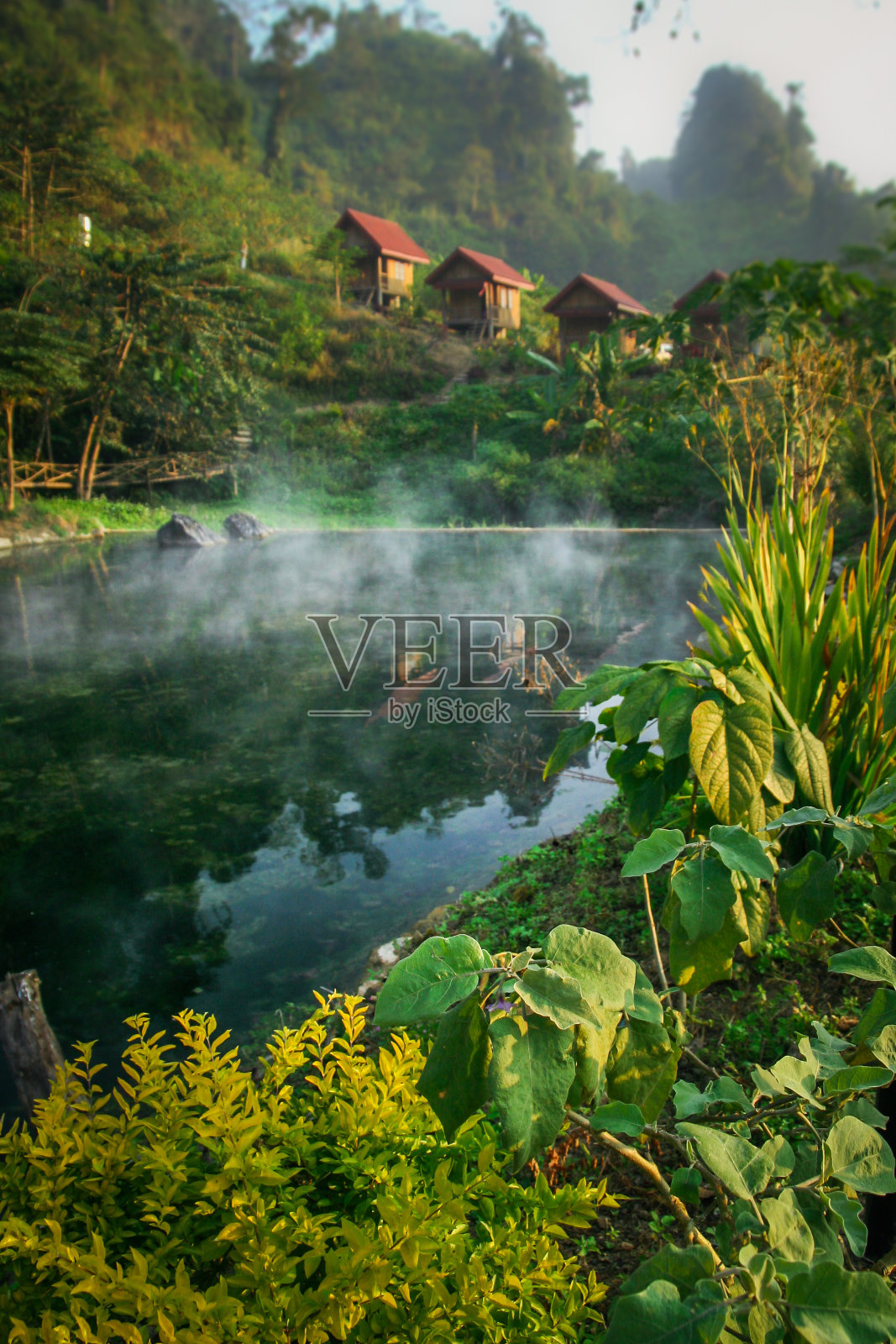 老挝热带度假胜地照片摄影图片