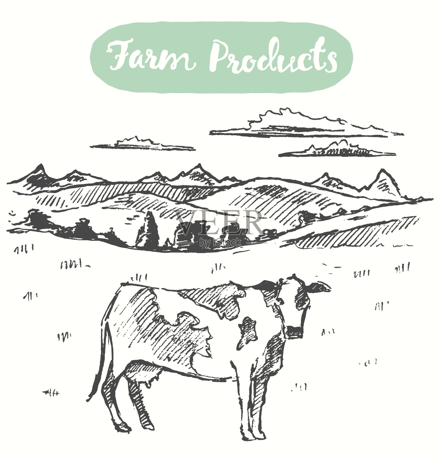 绘制牛草甸农场生鲜产品载体插画图片素材