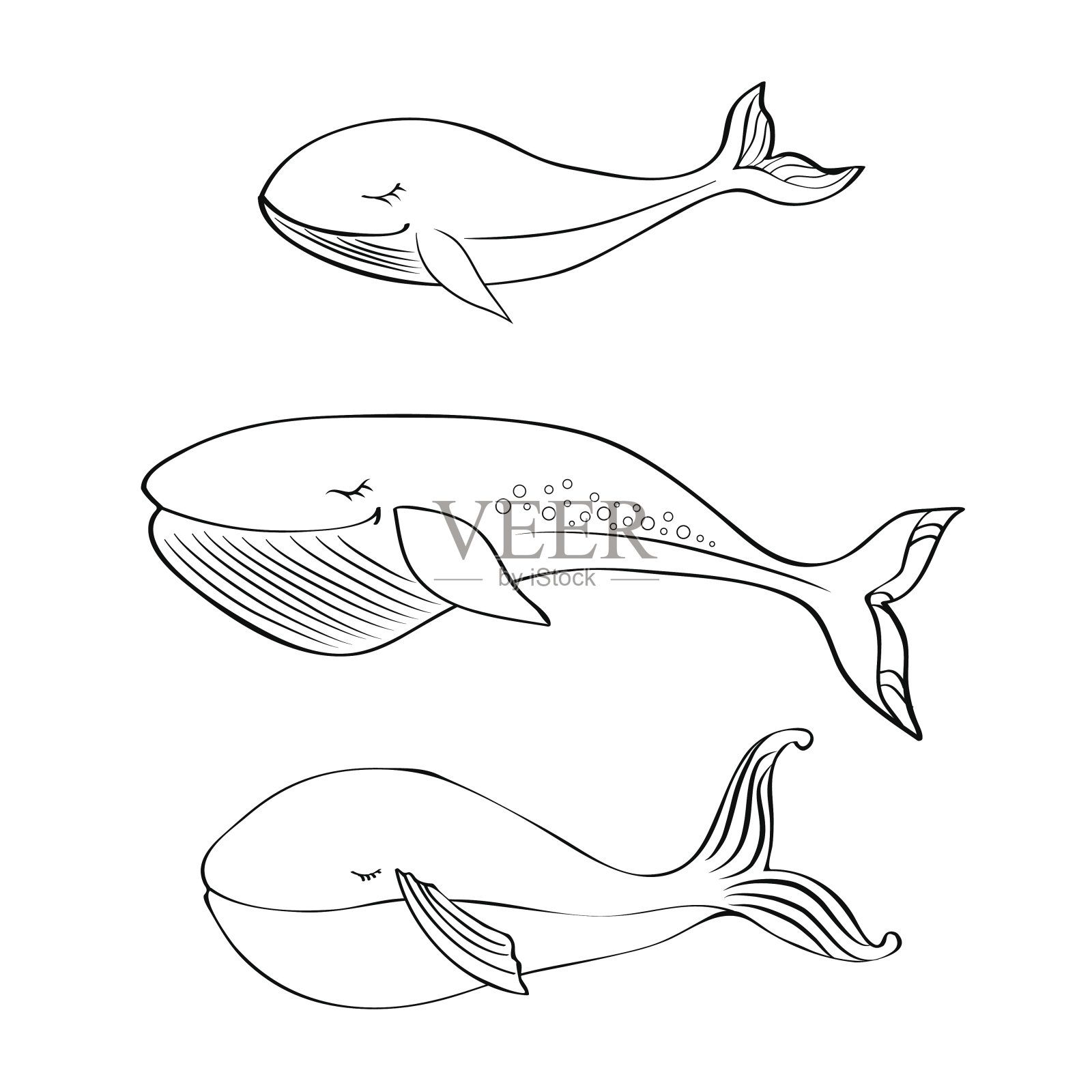 鲸鱼可爱的卡通搞笑插图孤立在白色设计元素图片