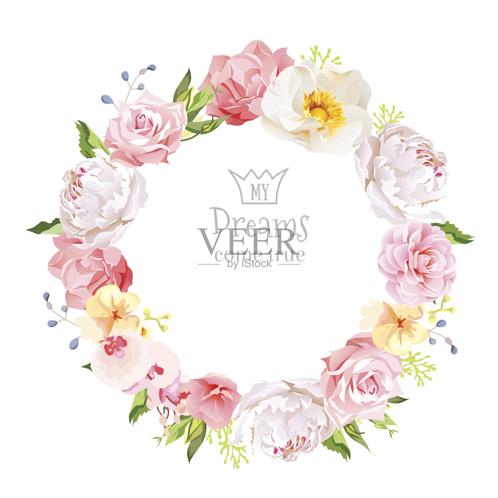 牡丹、野玫瑰、兰花、康乃馨、山茶花矢量图案圆框。插画图片素材