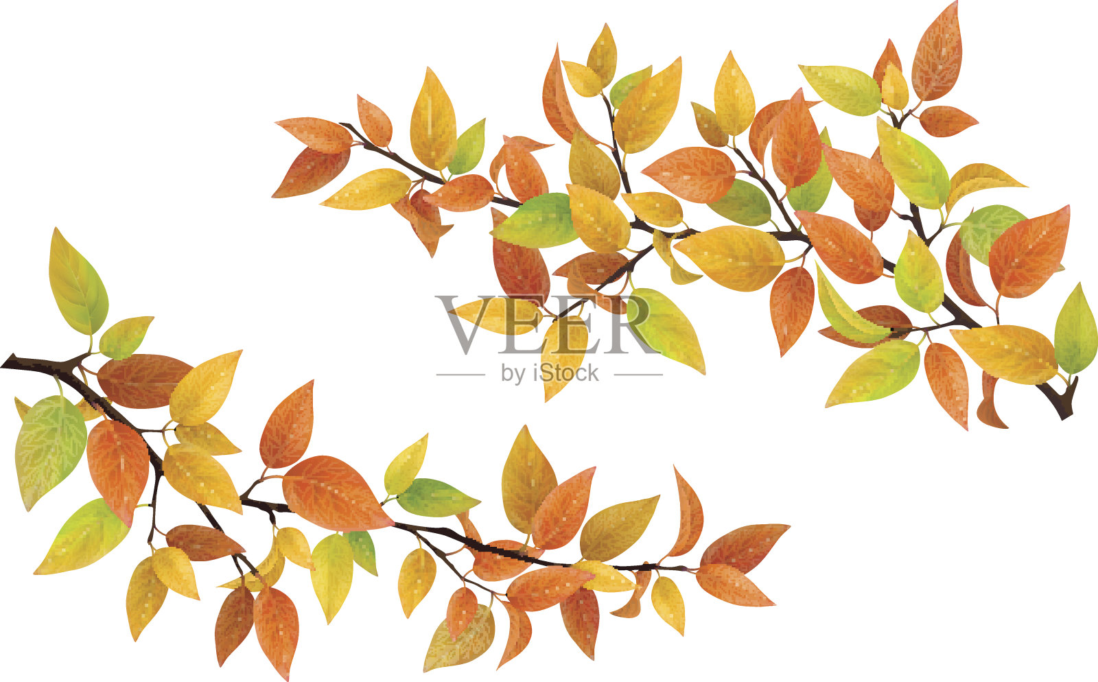 树枝上有秋天的叶子设计元素图片