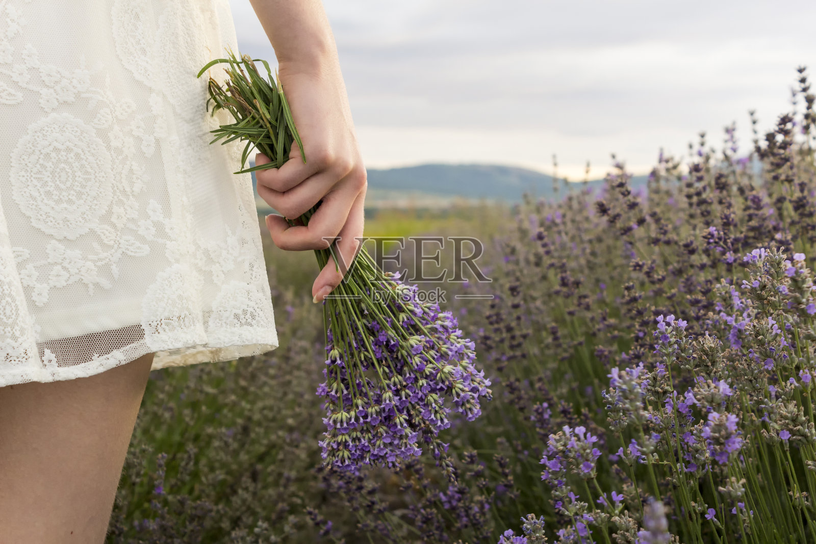 在淡紫色的田野上，穿着白色连衣裙的女孩捧着花束照片摄影图片