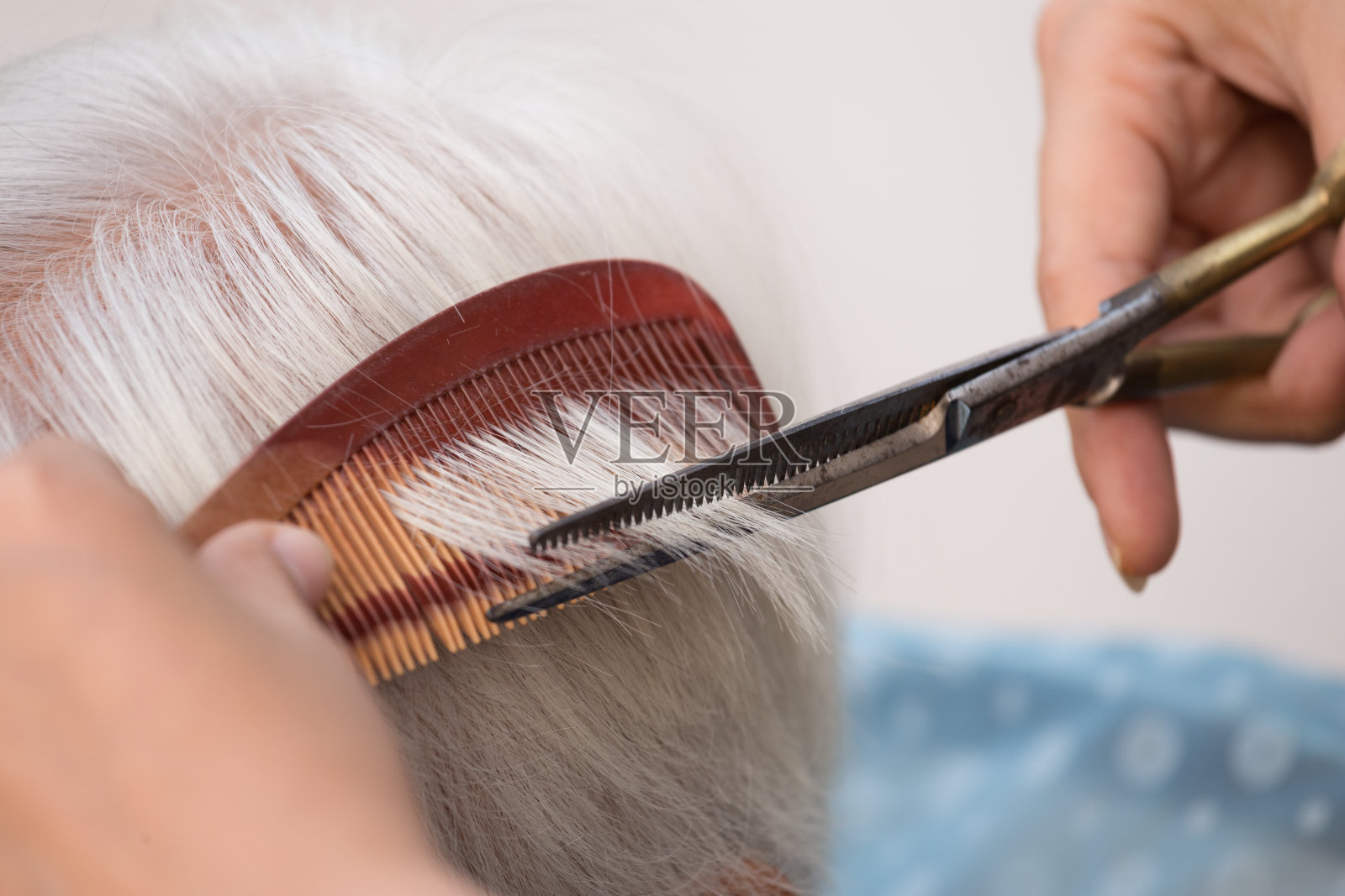 正在剪一位老妇人的灰白头发照片摄影图片