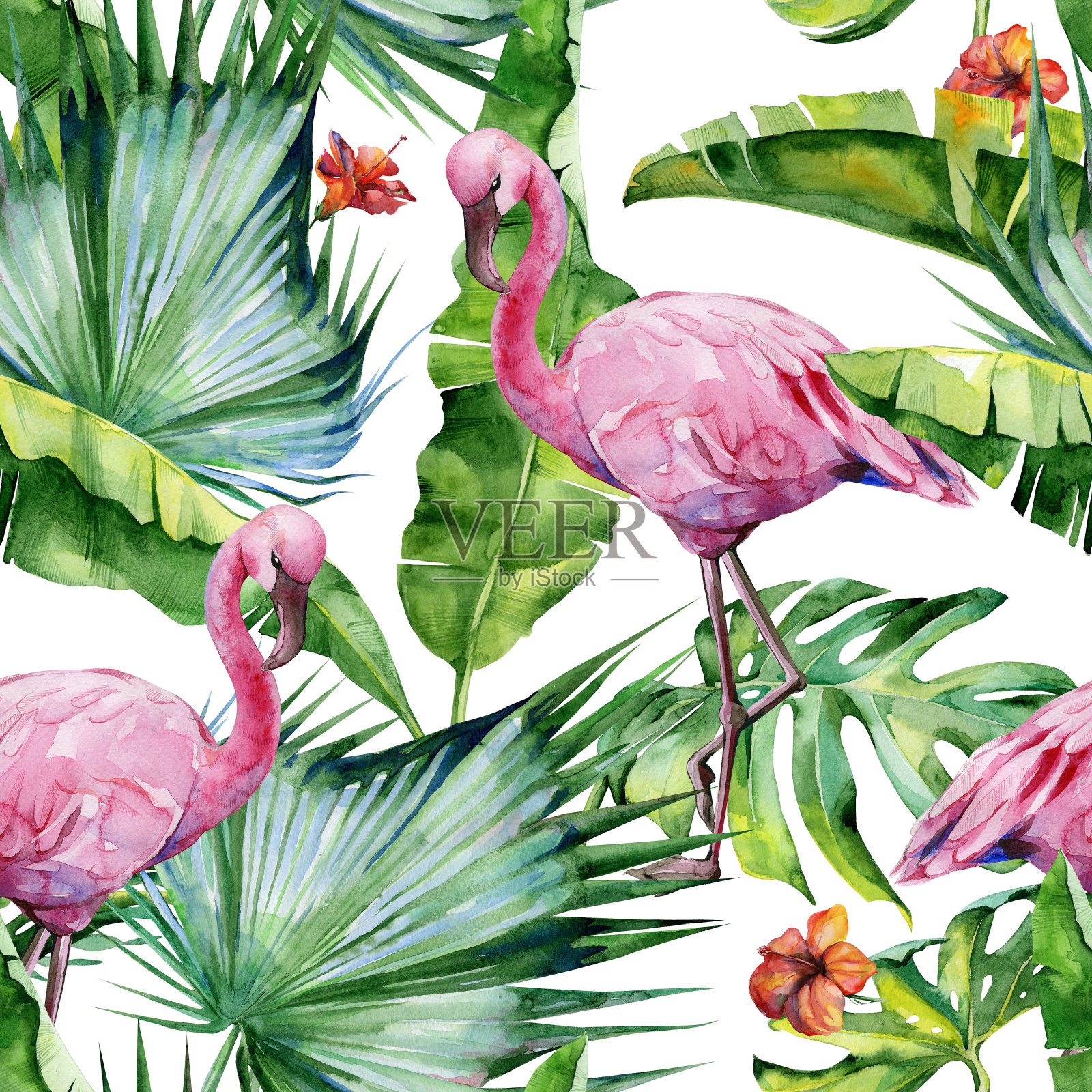 无缝水彩画的热带树叶，茂密的丛林和粉红色的火烈鸟。插画图片素材