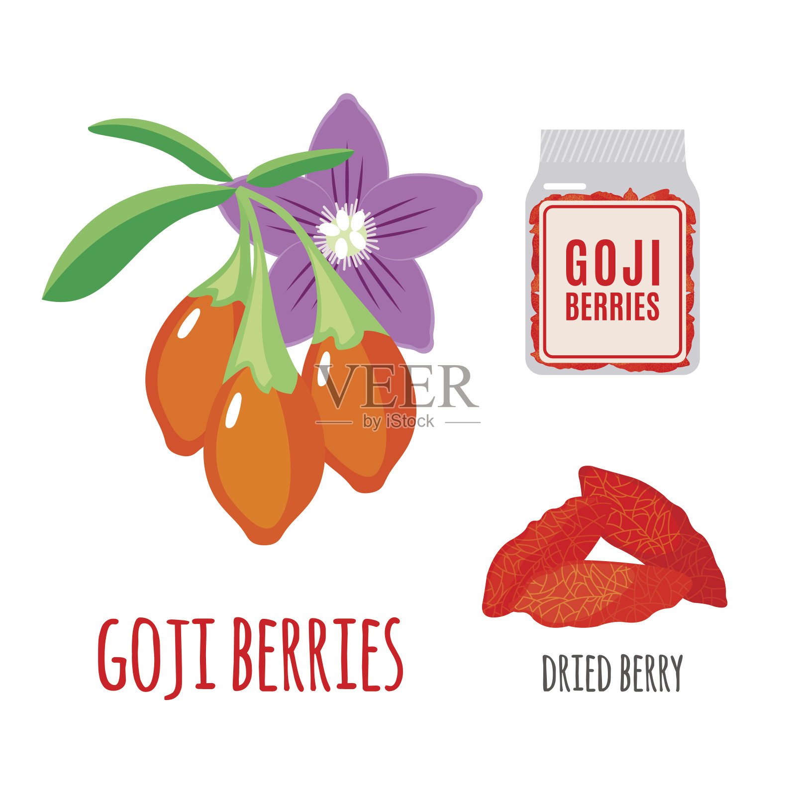超级食物枸杞莓设置在扁平风格。插画图片素材