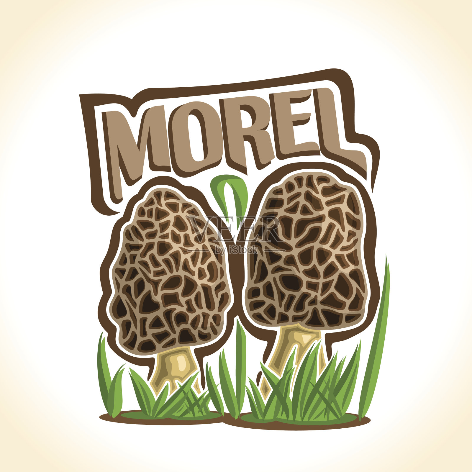 矢量图Morel蘑菇插画图片素材