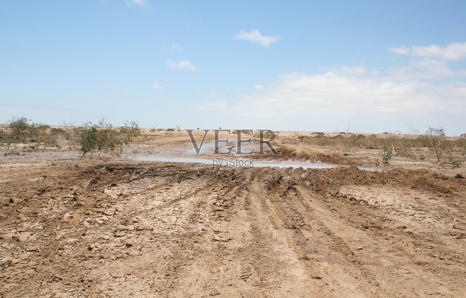 大雨后泥泞的盐路，骷髅海岸，纳米比亚，非洲照片摄影图片