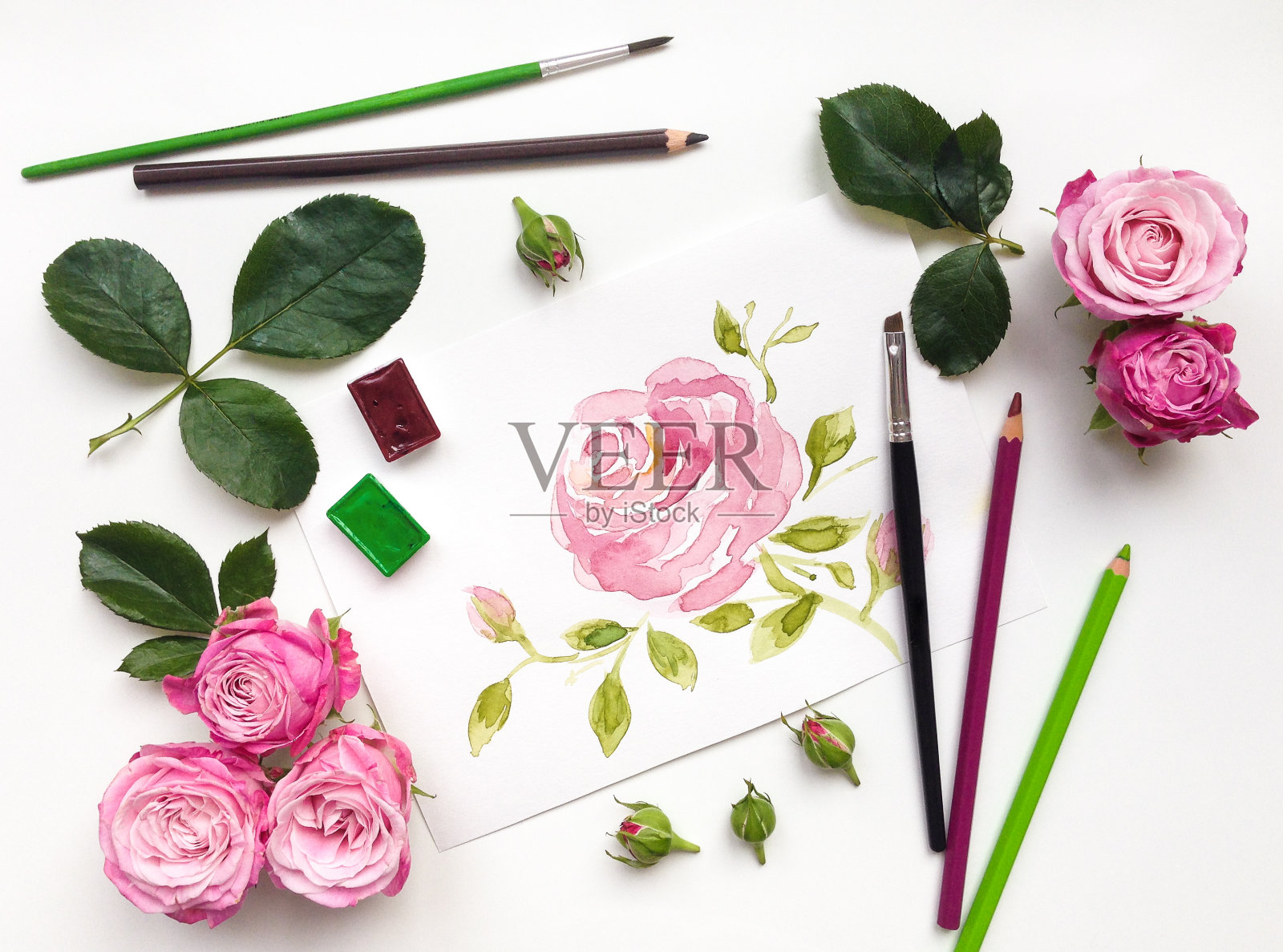 色彩丰富的组成与玫瑰和绘画配件。平躺插画图片素材