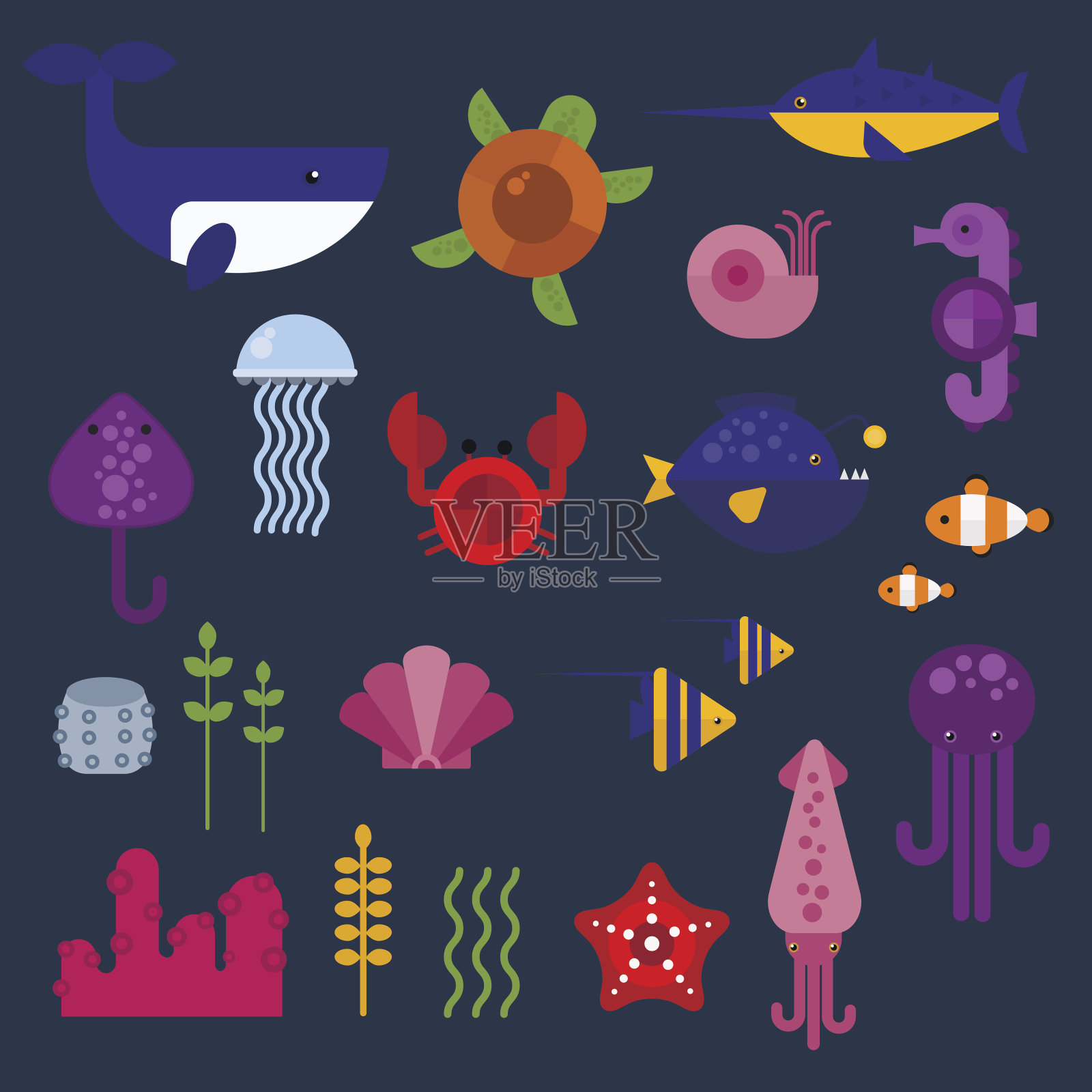 海洋动物向量集。插画图片素材