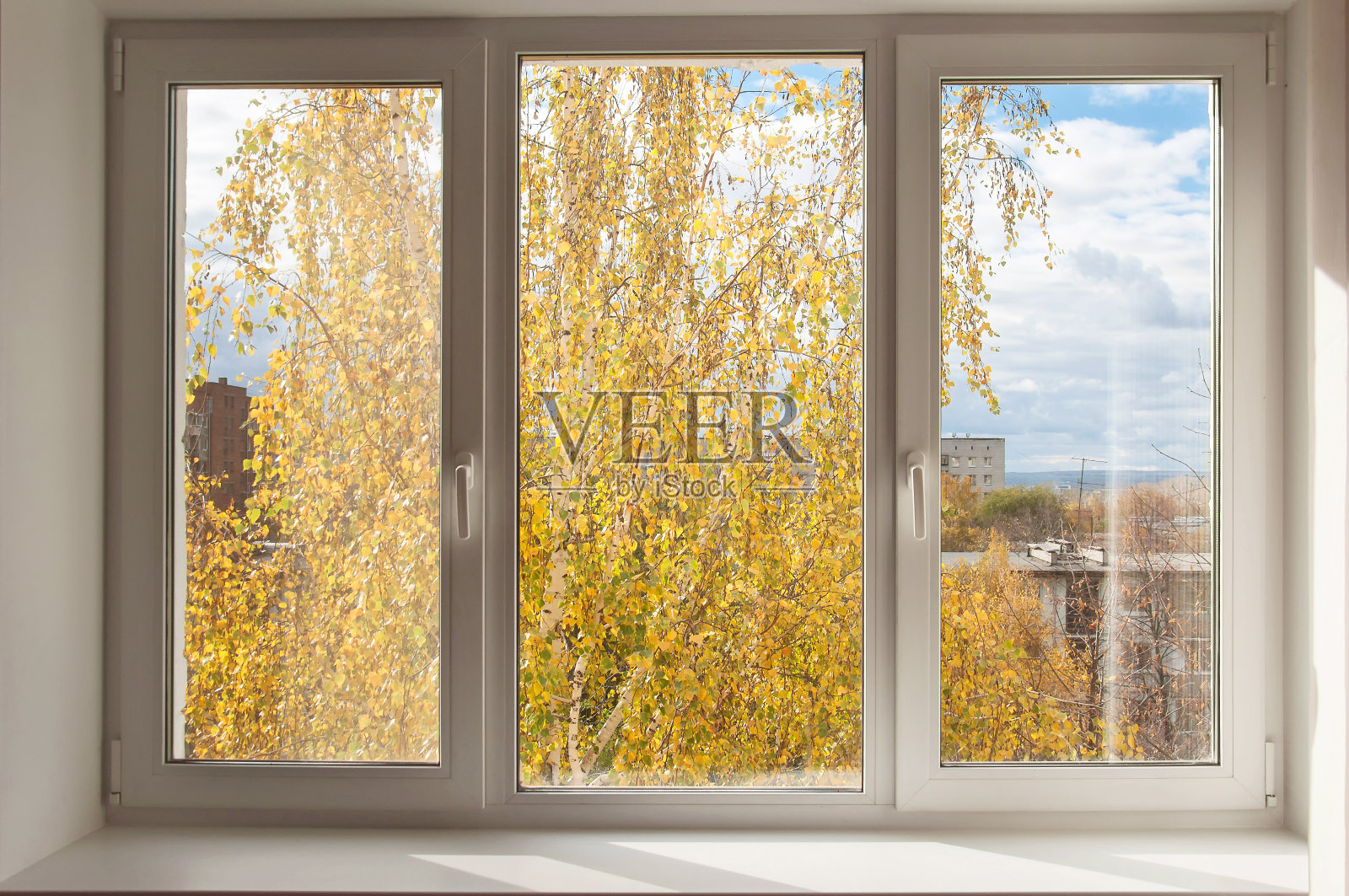 新白窗远眺秋黄树照片摄影图片