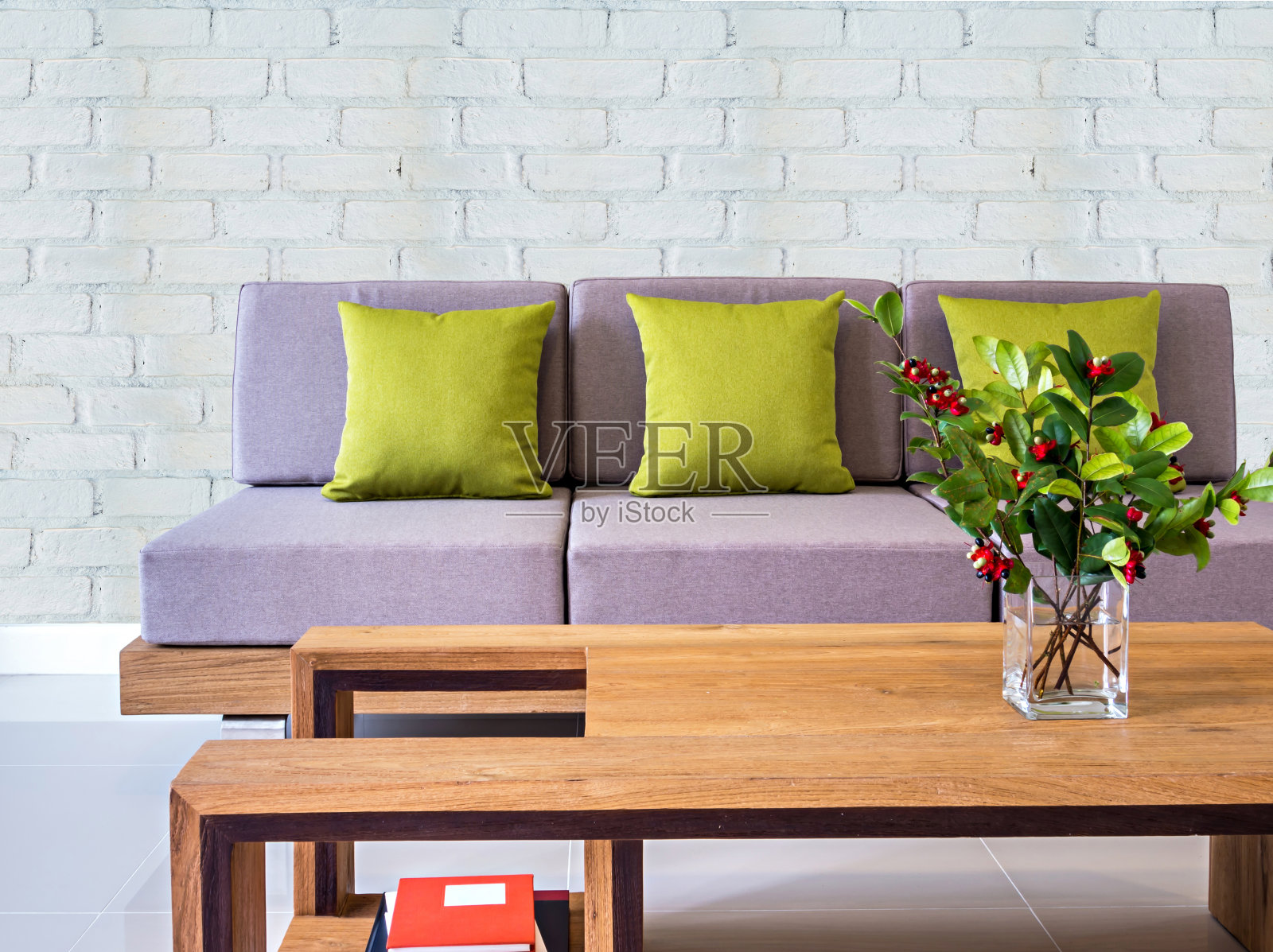 现代客厅室内设计，沙发，花瓶木桌/重新装修概念照片摄影图片