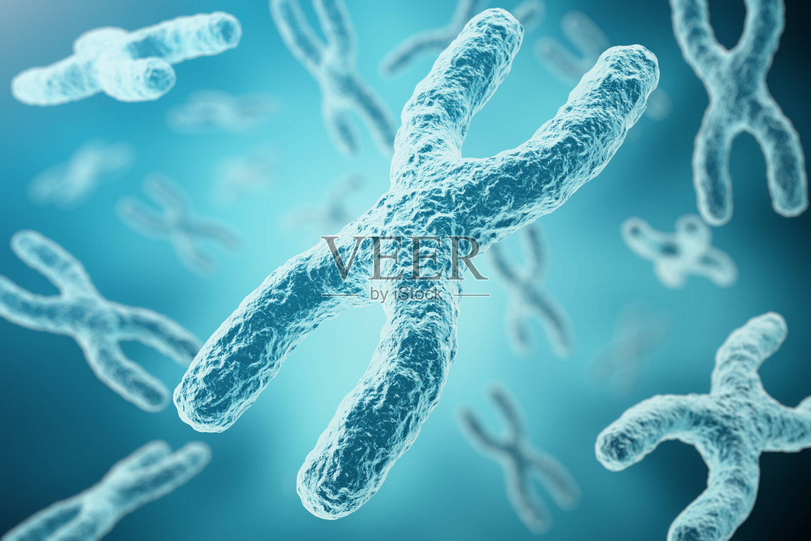 xy染色体作为人类生物学概念中的医学符号插画图片素材