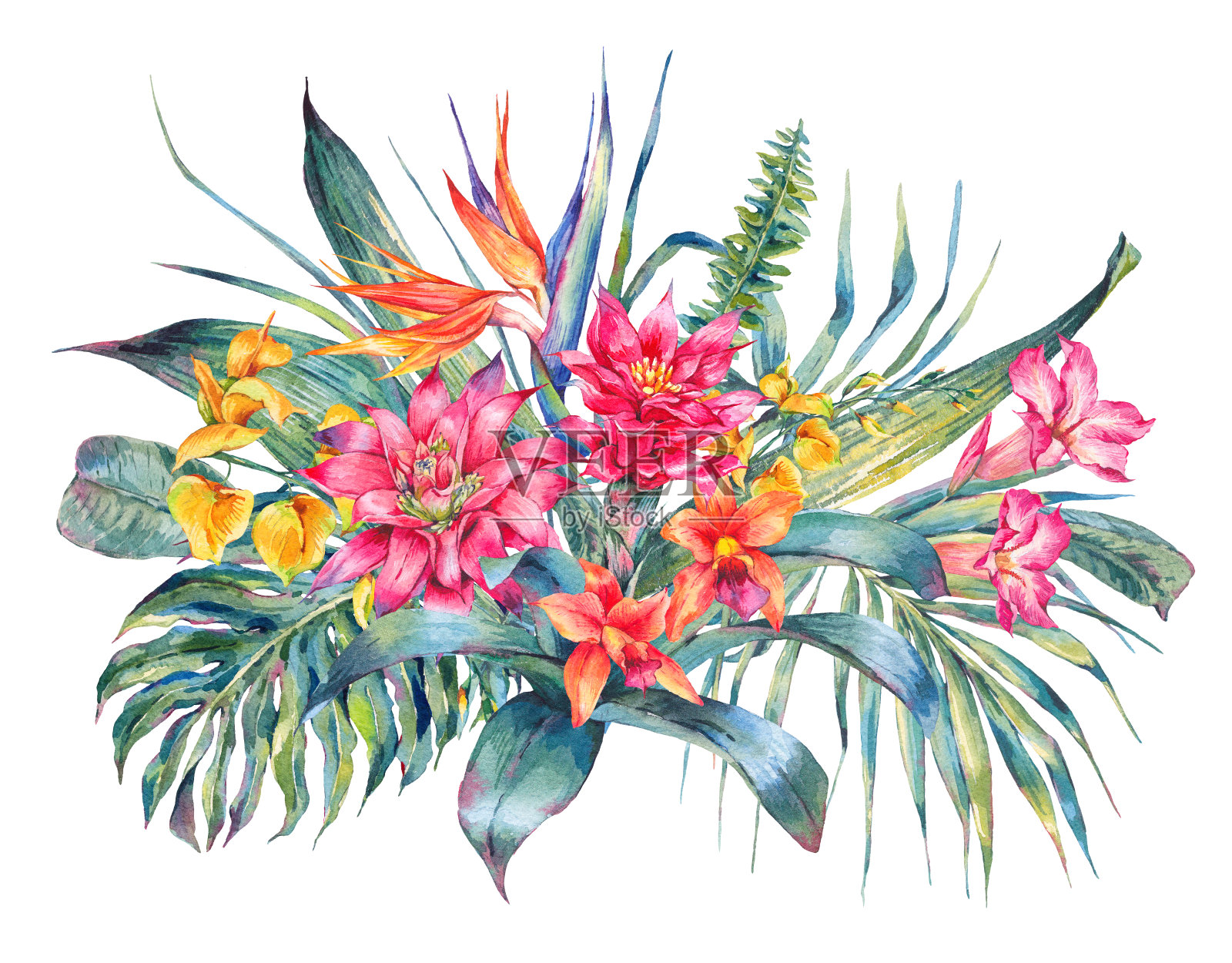 水彩复古热带花卉贺卡插画图片素材