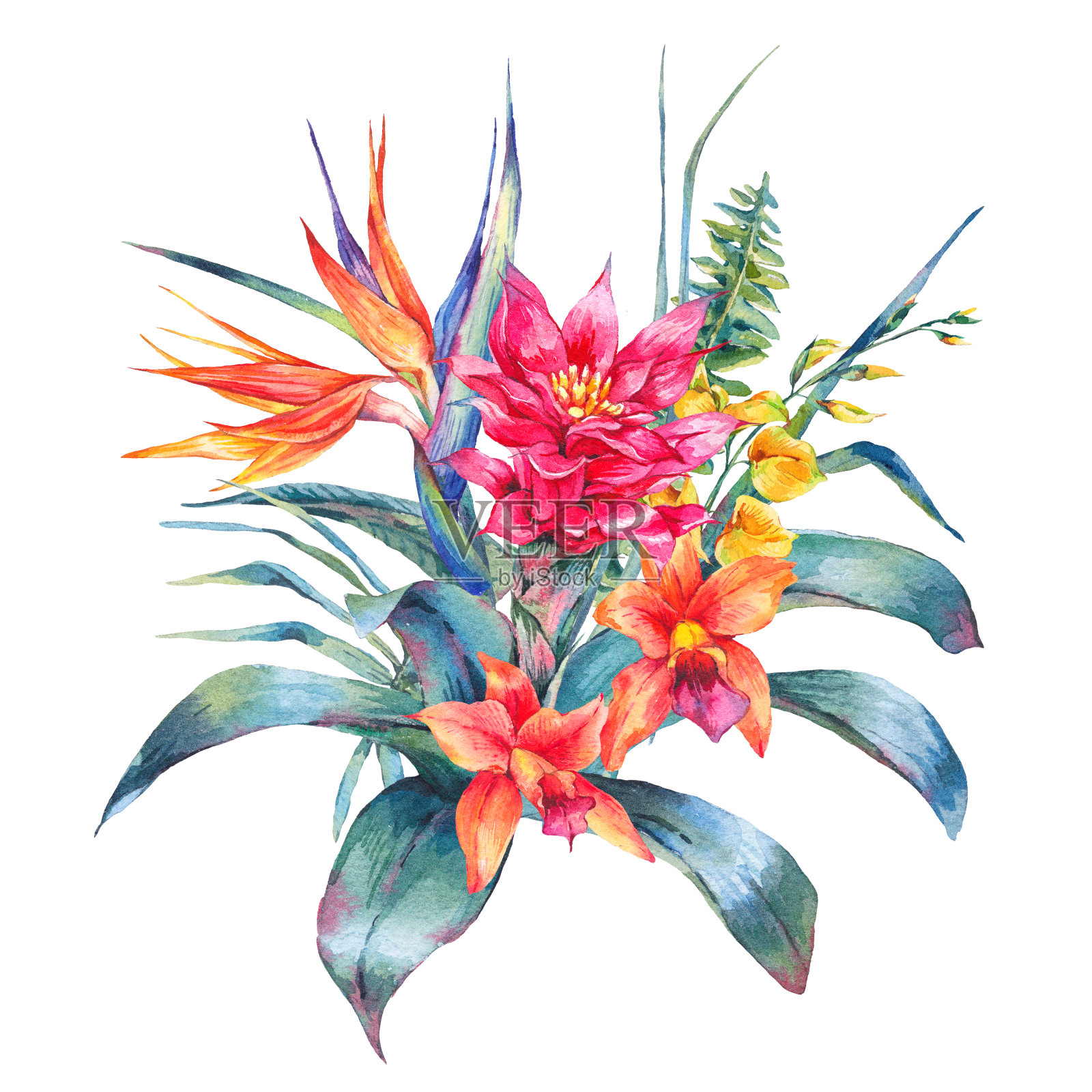 水彩复古热带花卉贺卡设计元素图片
