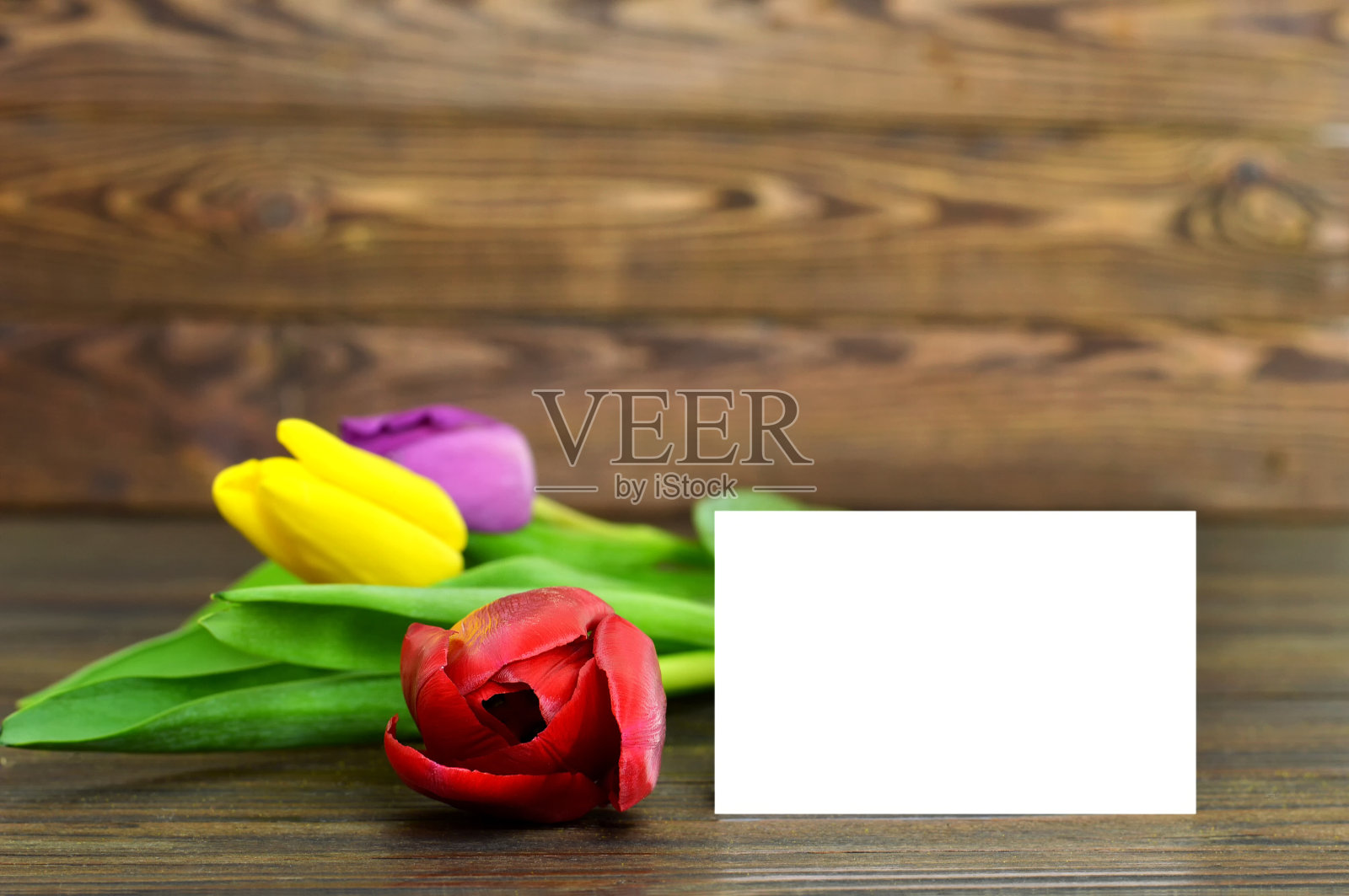 空白贺卡和彩色郁金香在木制背景照片摄影图片
