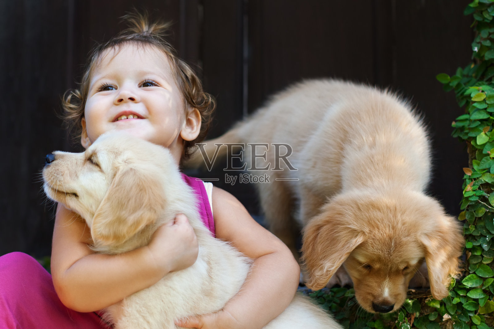 快乐的孩子玩耍和拥抱家庭宠物-拉布拉多小狗照片摄影图片