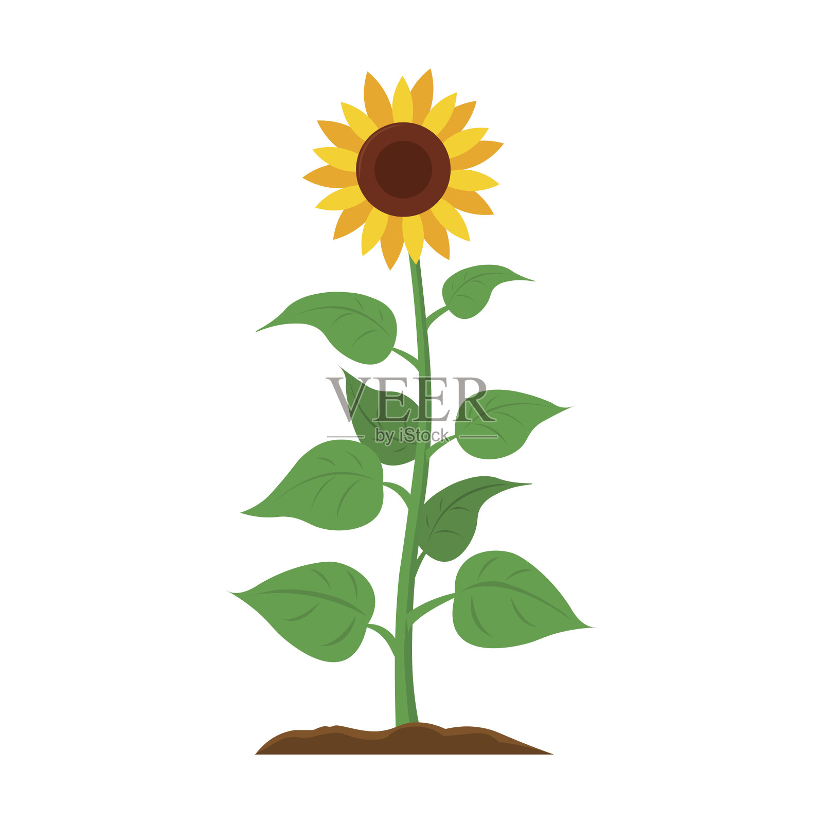 向日葵图标卡通。来自大农场的单一植物图标，设计元素图片