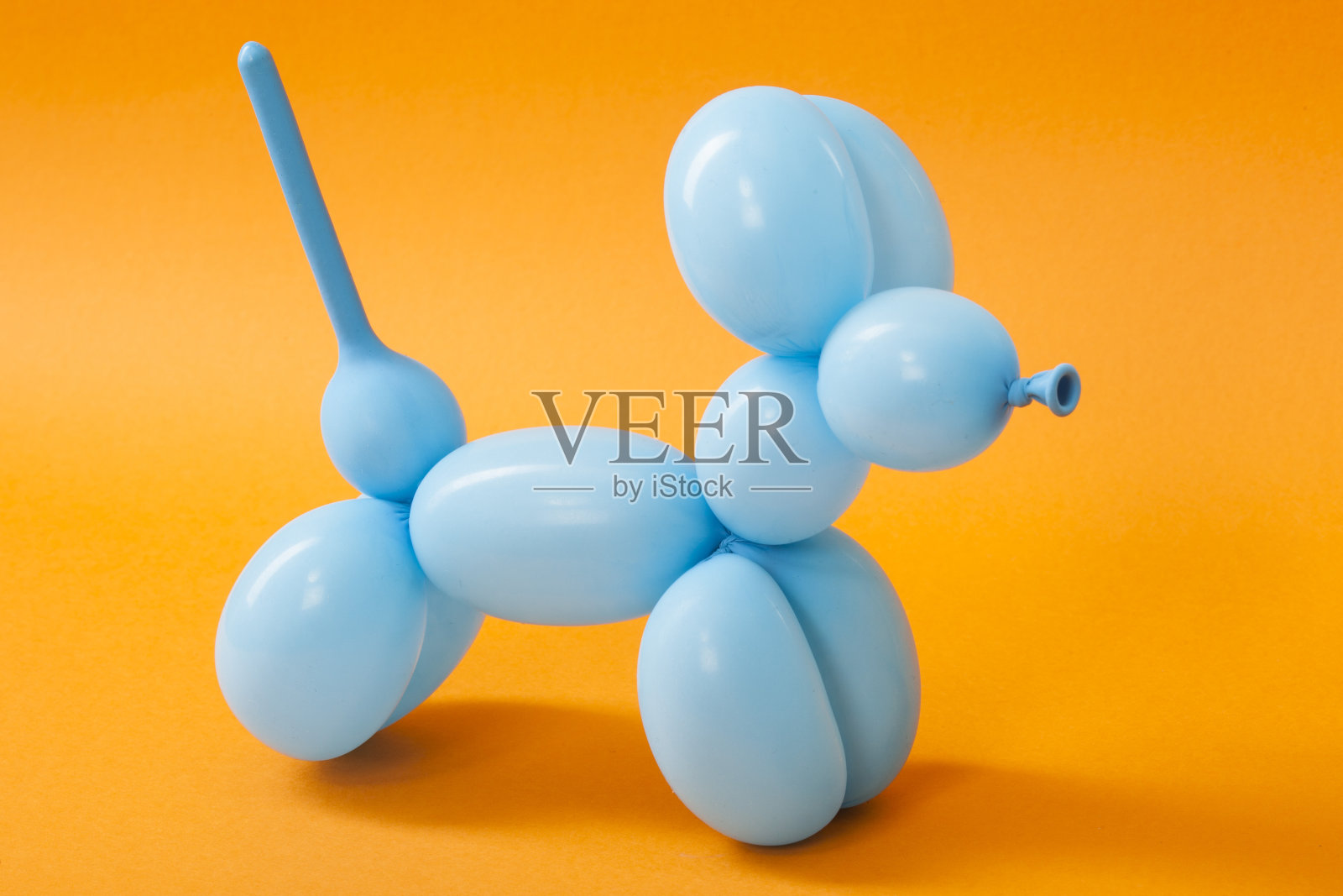 蓝色气球狗在橙色上照片摄影图片