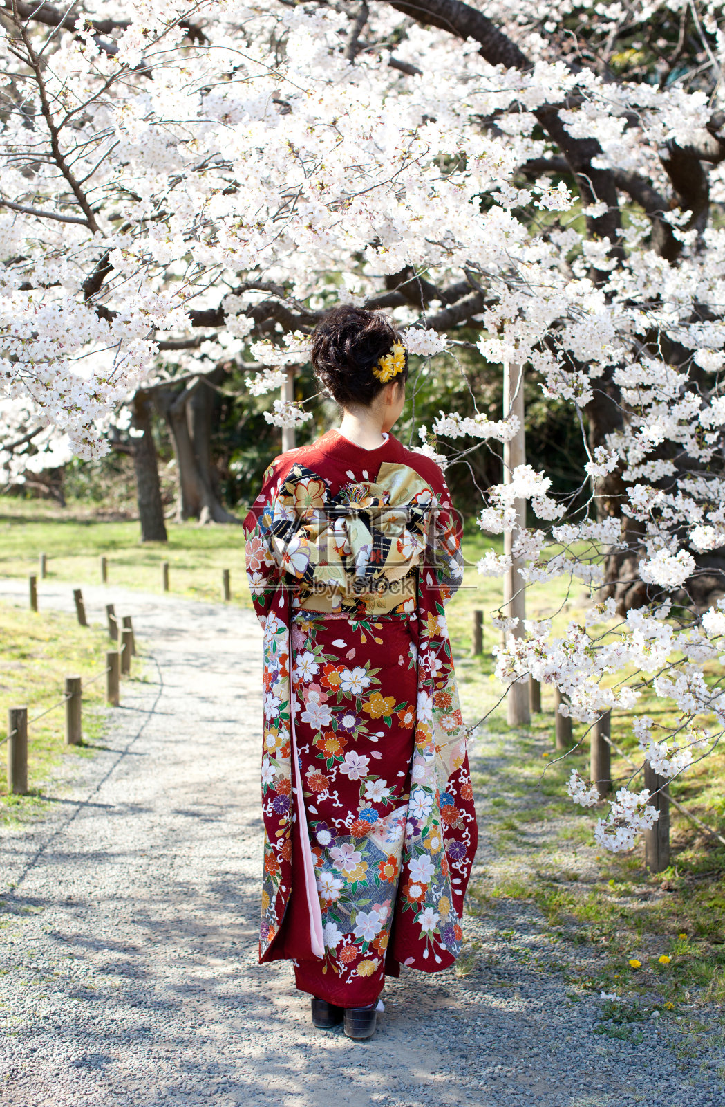 穿着樱花图案和服的日本妇女照片摄影图片