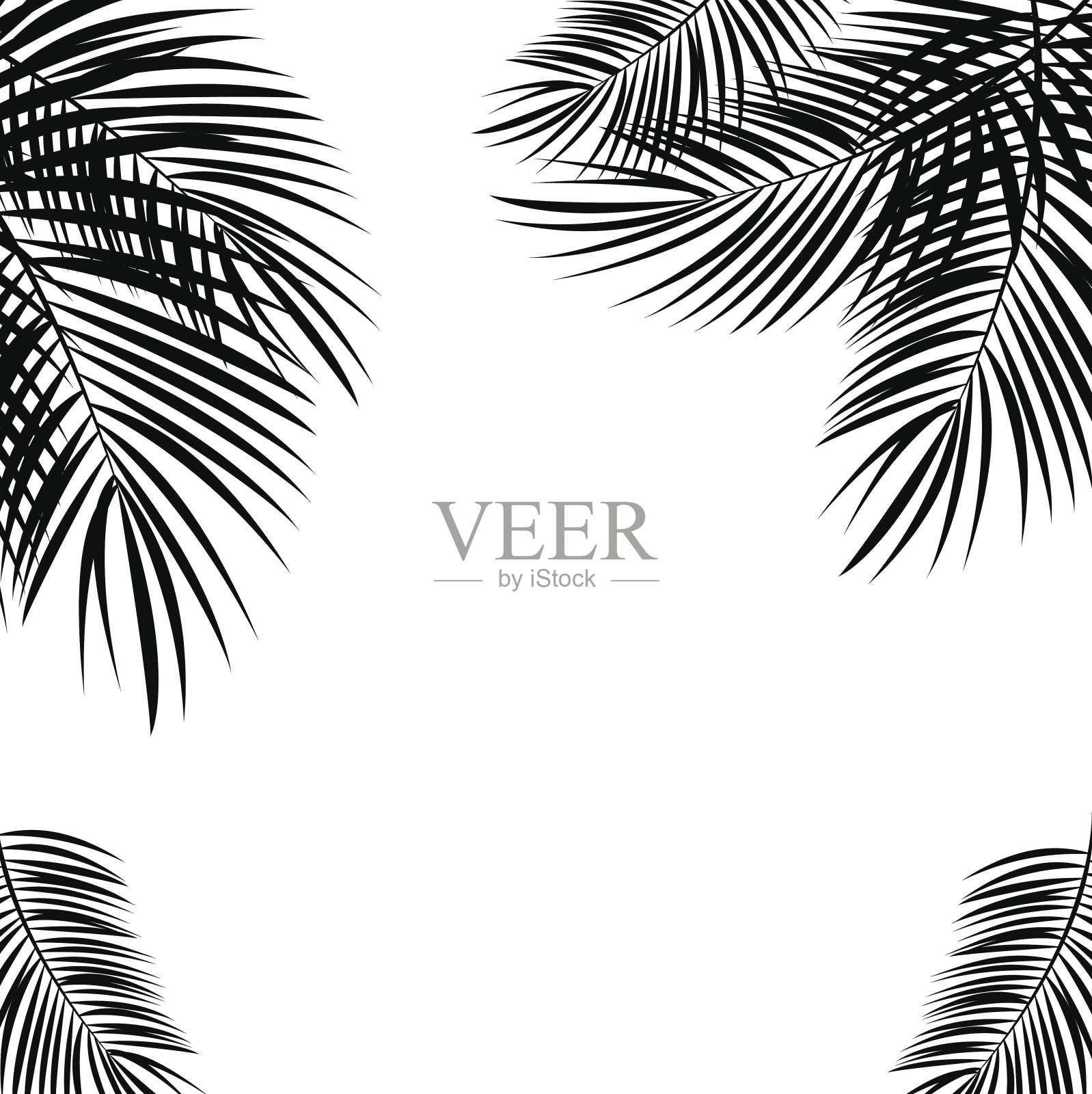 白色背景上的黑色棕榈叶。矢量插图。插画图片素材