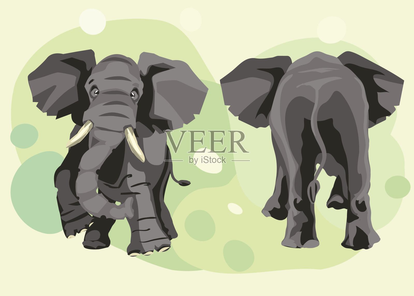 一只灰色的印度大象向前走去插画图片素材