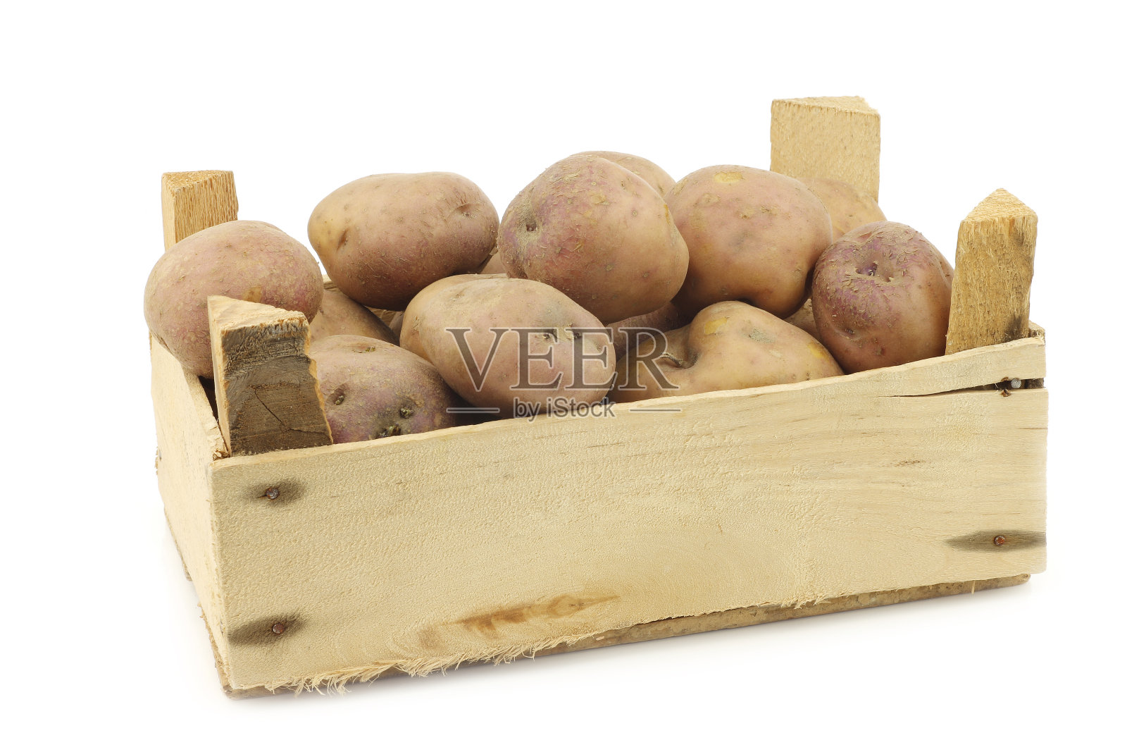 名为“库普曼斯蓝”的荷兰土豆照片摄影图片