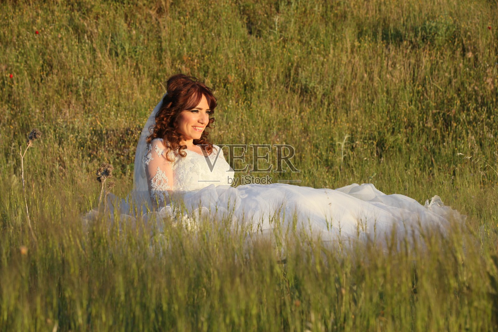 新娘坐在草地上照片摄影图片