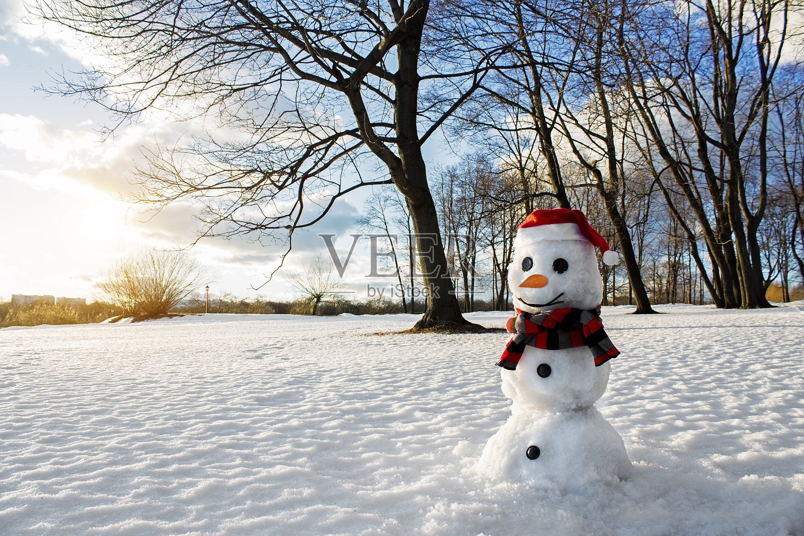 微笑的雪人。风景如画的冬季景观。节日的心情。照片摄影图片
