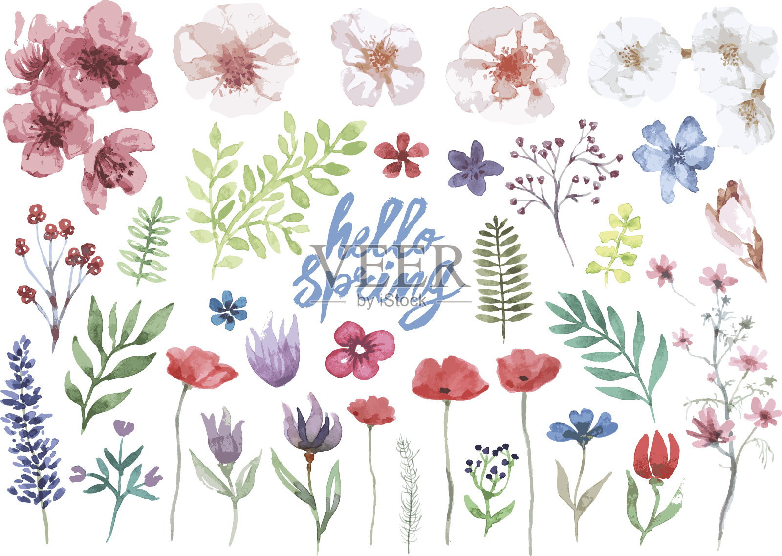 春季水彩花卉收藏插画图片素材