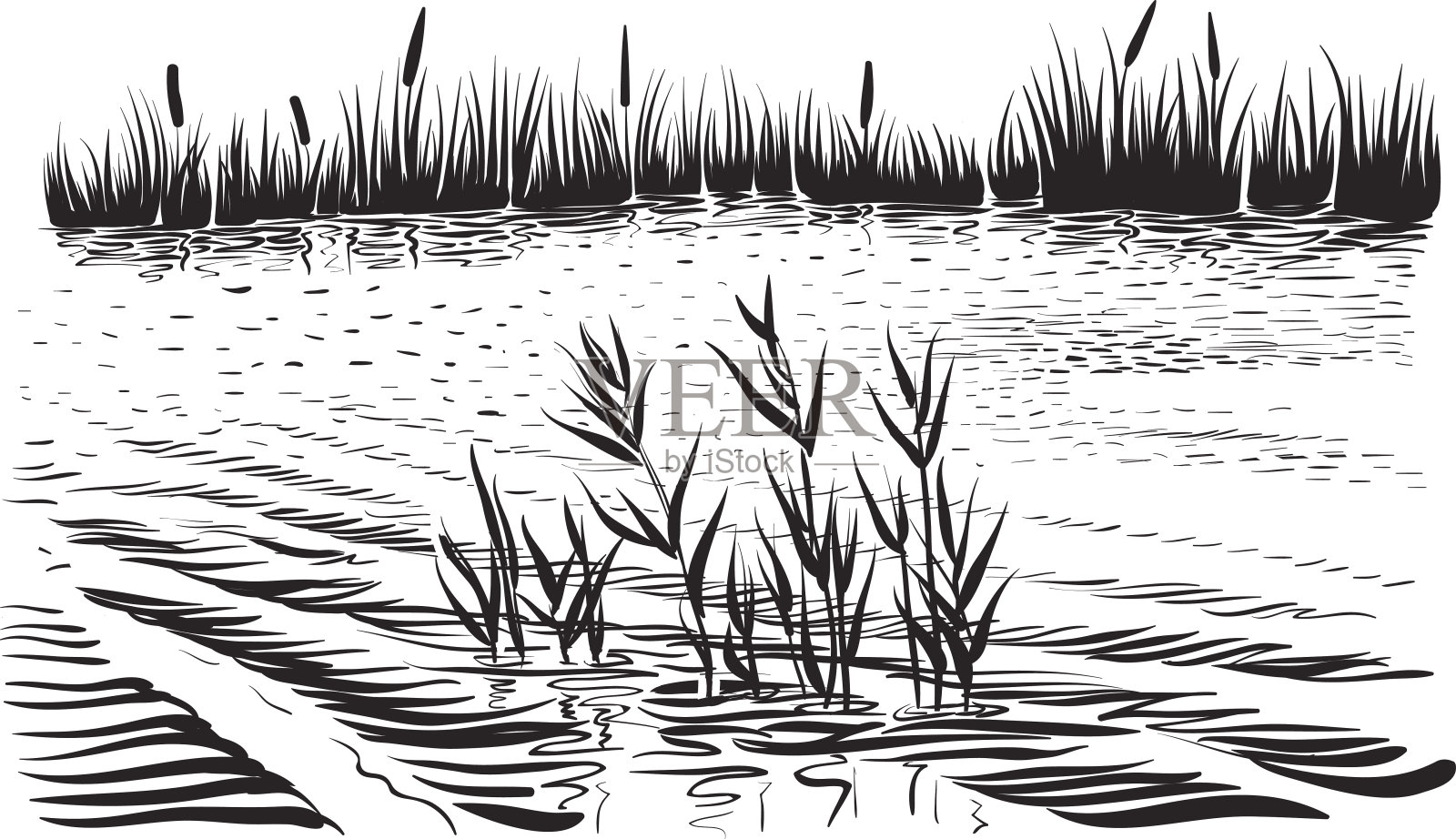 河流景观用水生植物，手绘矢量。插画图片素材