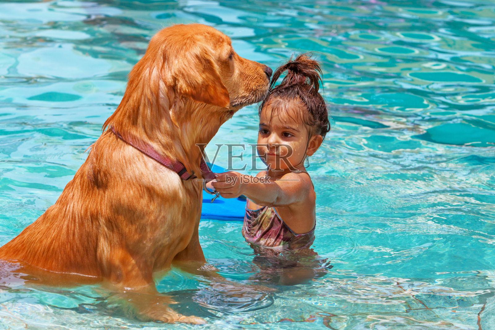 孩子和狗在游泳池里照片摄影图片