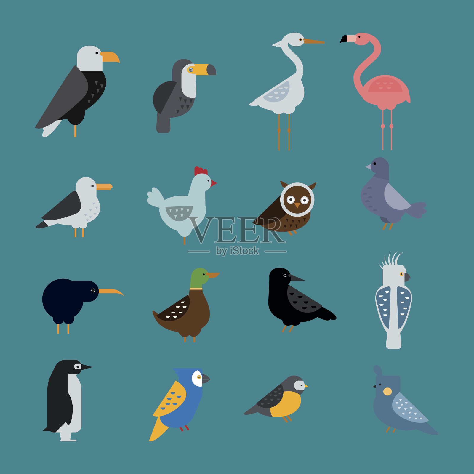 鸟类矢量集插图孤立设计元素图片