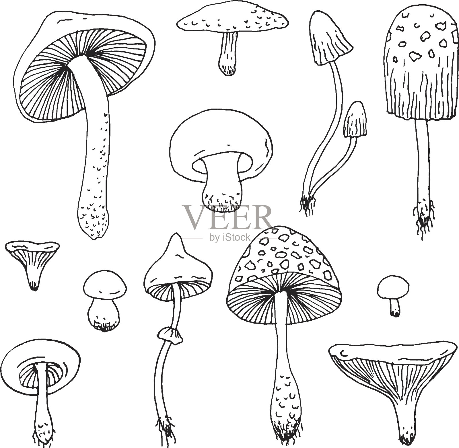 一套森林蘑菇-矢量手绘草图。插画图片素材