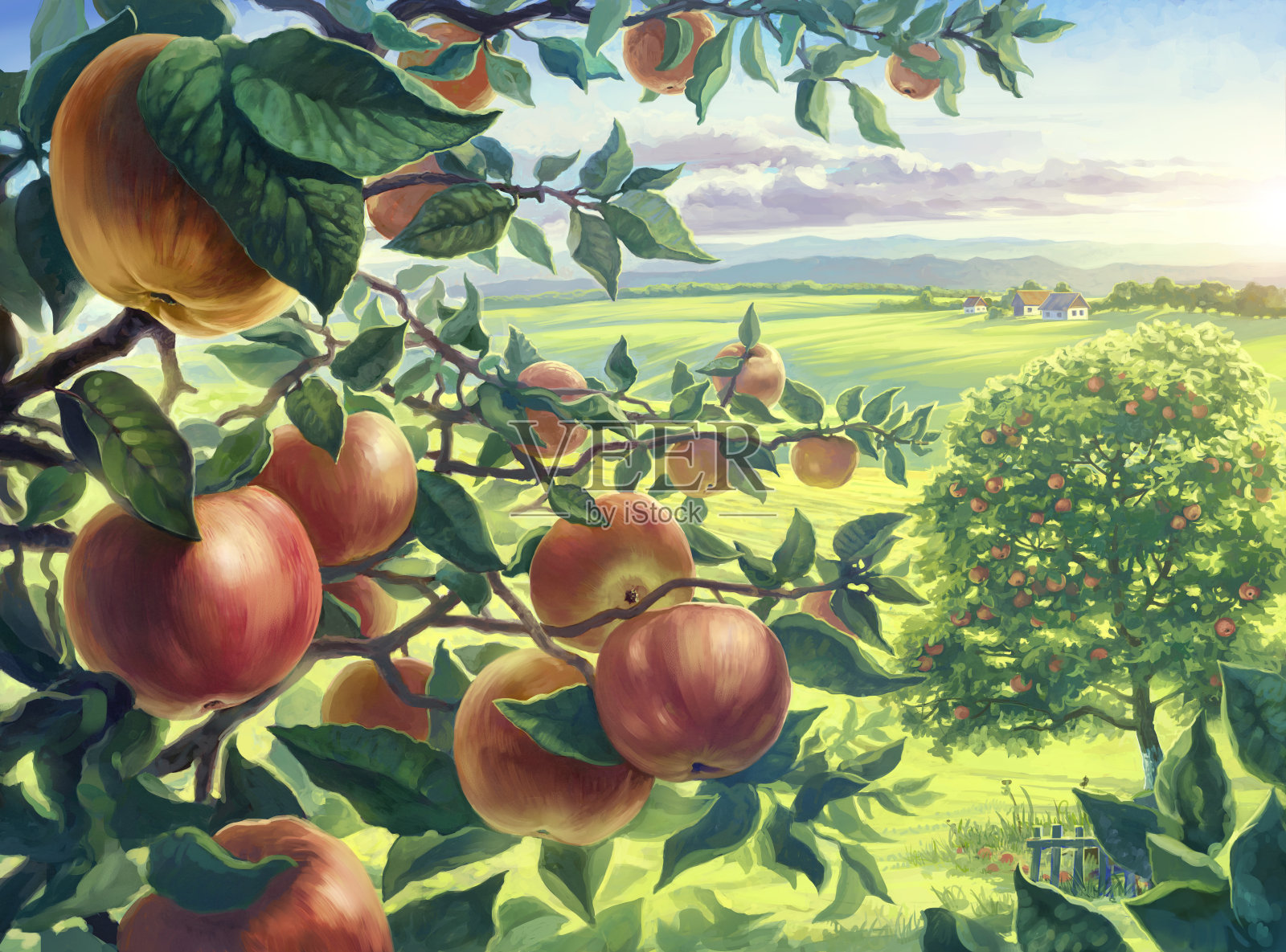夏天的风景是苹果。插画图片素材