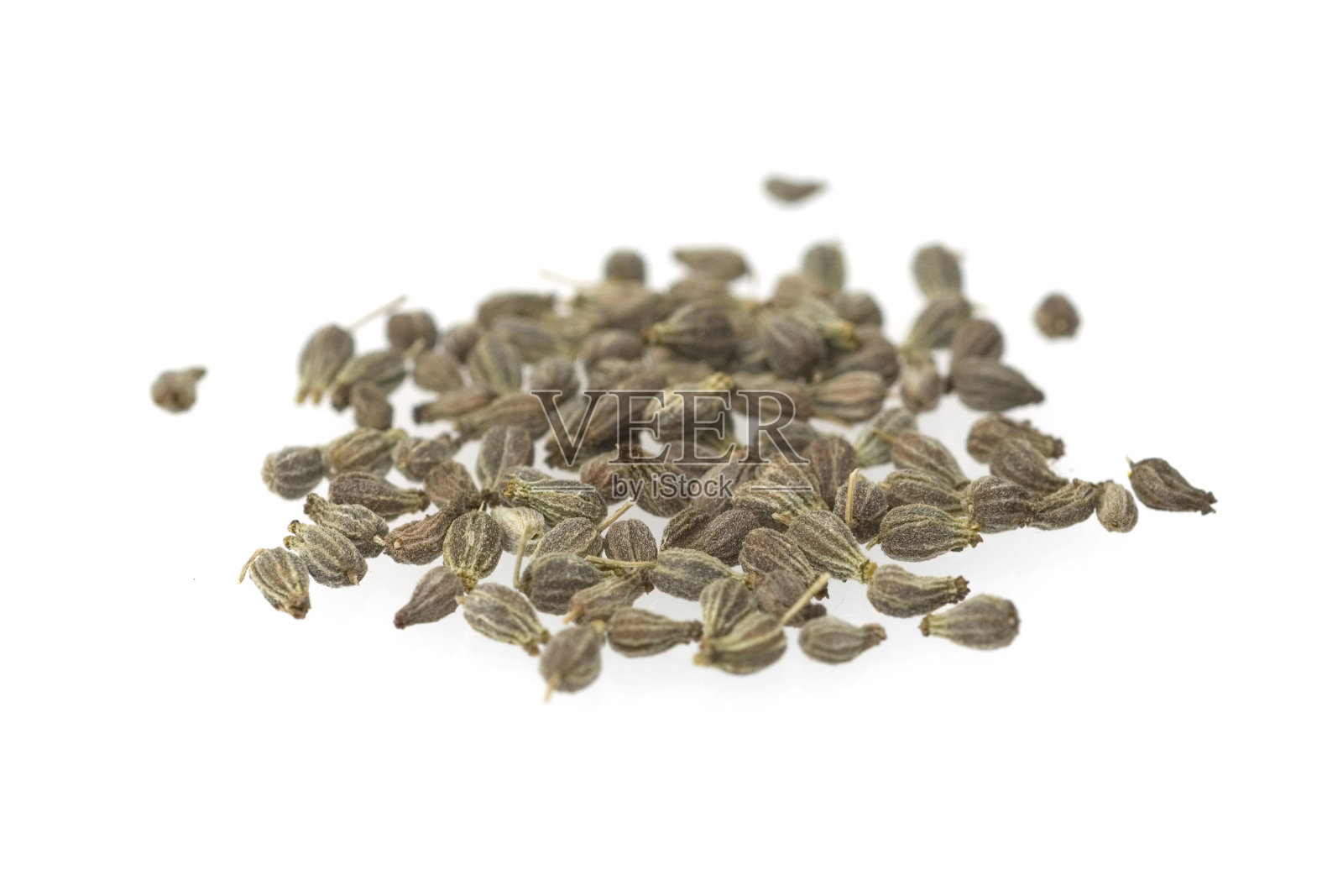 茴香;Pimpinella;anisum、种子、谷物照片摄影图片