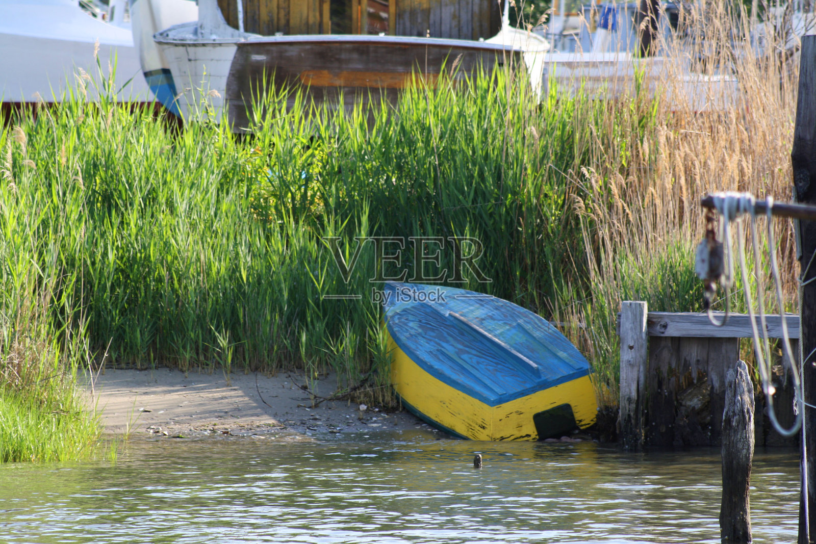 沼泽中搁浅的划艇照片摄影图片